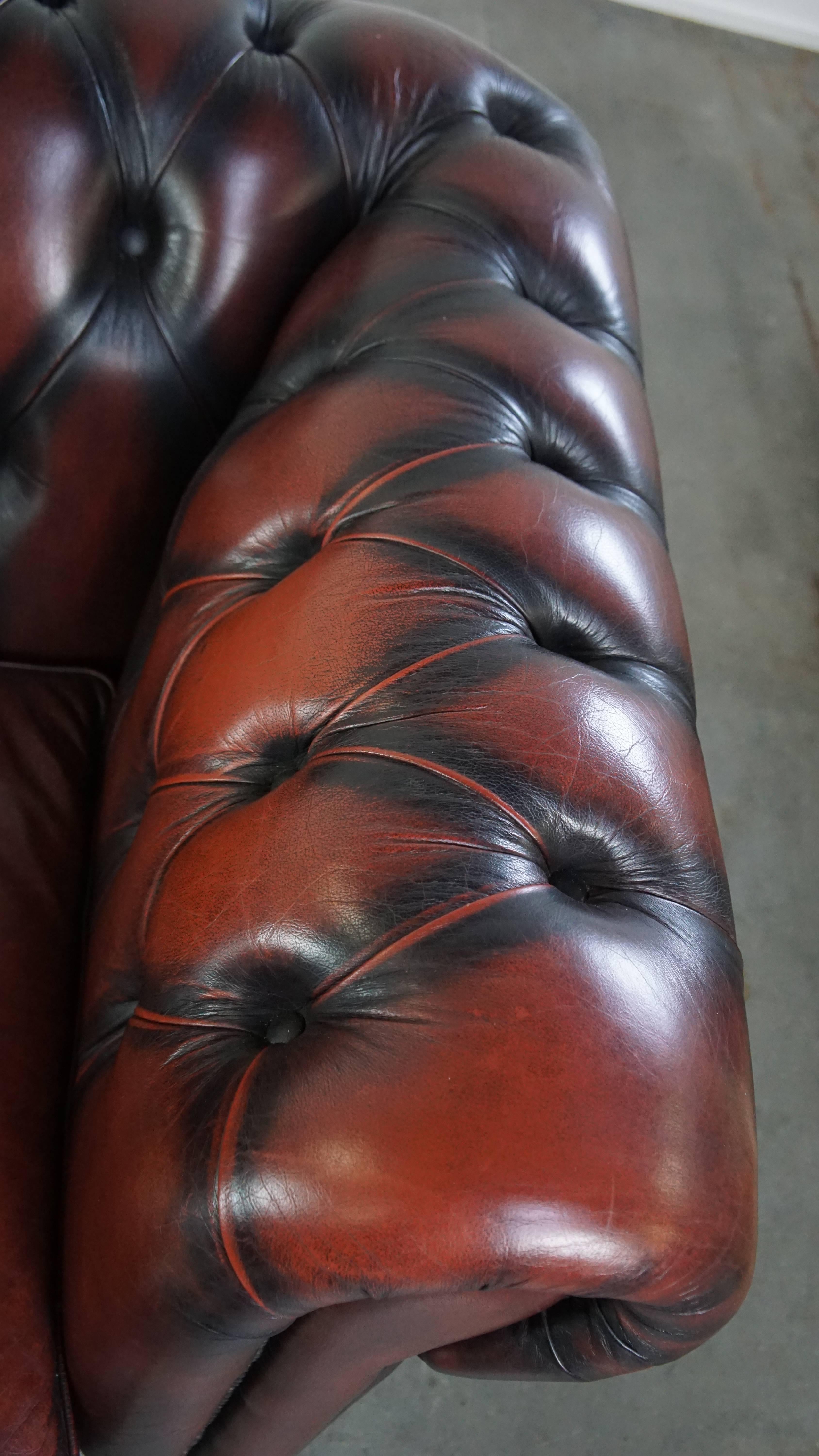 Sofá Chesterfield de 2,5 plazas en Piel de Vacuno Rojo Profundo Flameado en venta 6