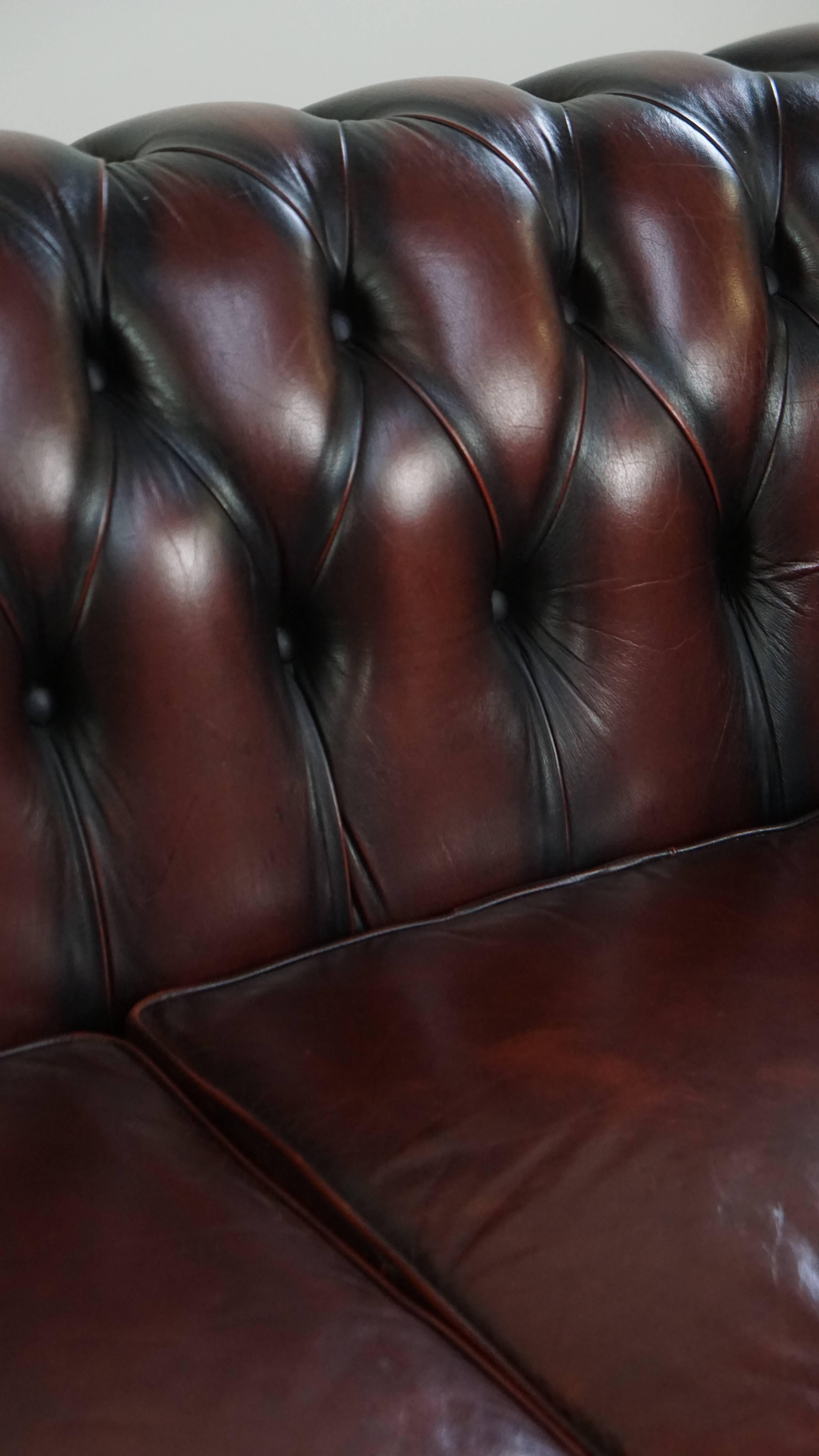Sofá Chesterfield de 2,5 plazas en Piel de Vacuno Rojo Profundo Flameado en venta 1