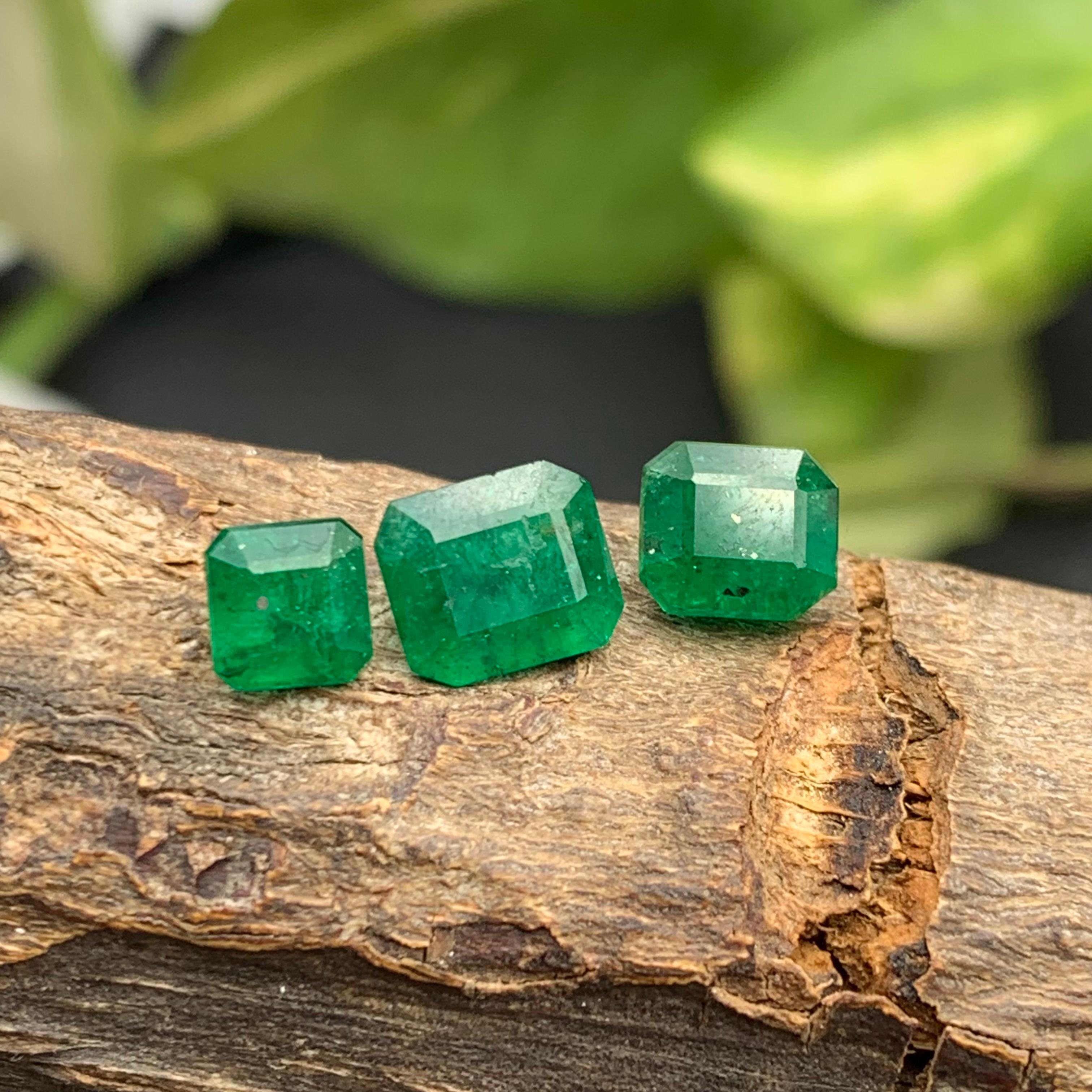 Deep Rich Green Natural Emerald Loose Gemstones Lot 3.15 Ct Emerald Cut-Jewelry 7