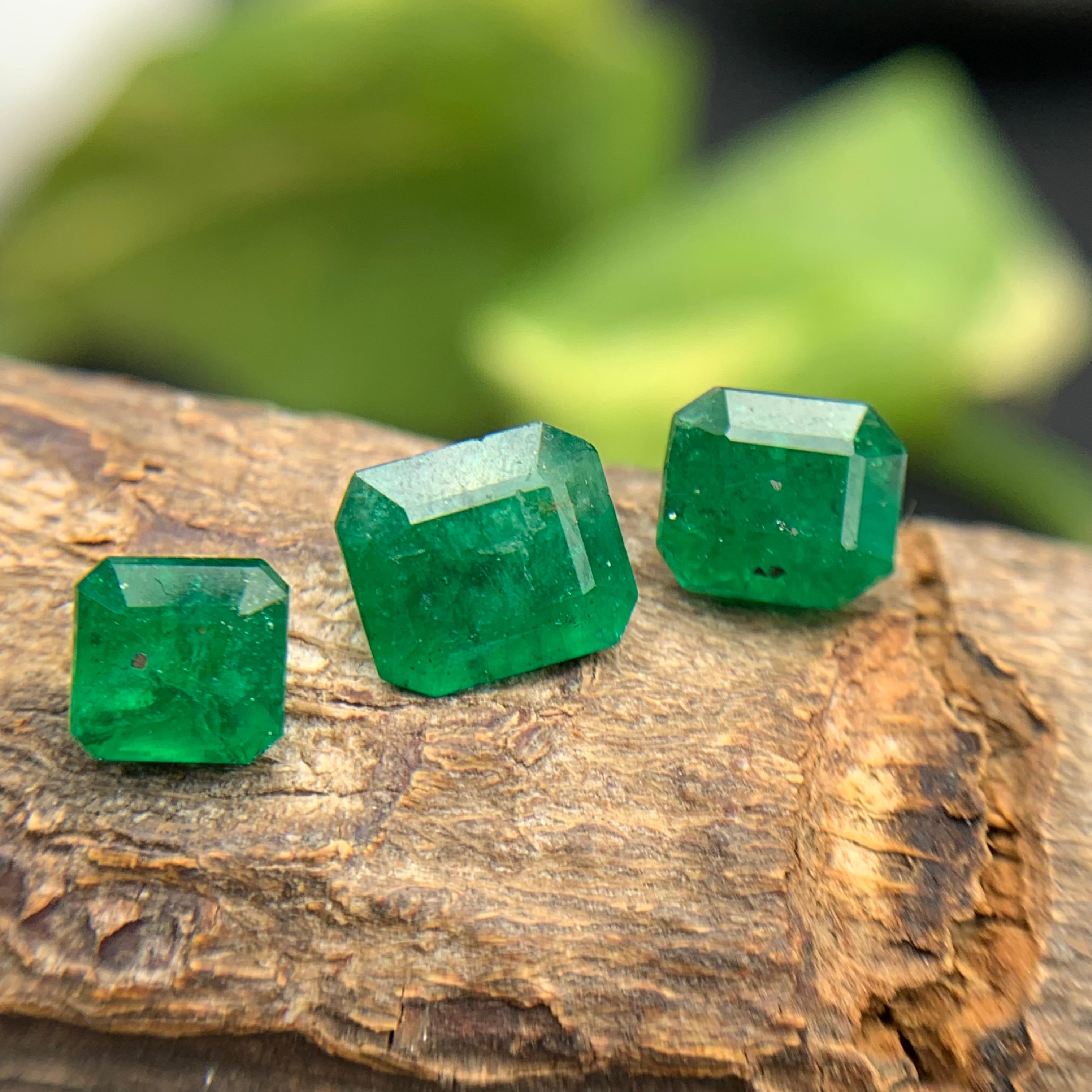Deep Rich Green Natural Emerald Loose Gemstones Lot for Ring, Necklace Pendant, or any other Jewelry Setting-Emerald Cut!!

💎 GEMSTONE TYPE: Emerald 
⚖️ WEIGHT: 3.15 Carats
🪚 SHAPE & CUT: Emerald Cut
📏 SIZE (MM): 
1.30 Ct (6.43 x 5.68 x