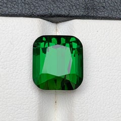 Deep Rich Green Natural Tourmaline 7.28Carat Cushion Cut Loose Gemstone for Ring