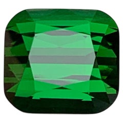 Deep Rich Green Natural Tourmaline 7.28Carat Cushion Cut Loose Gemstone for Ring