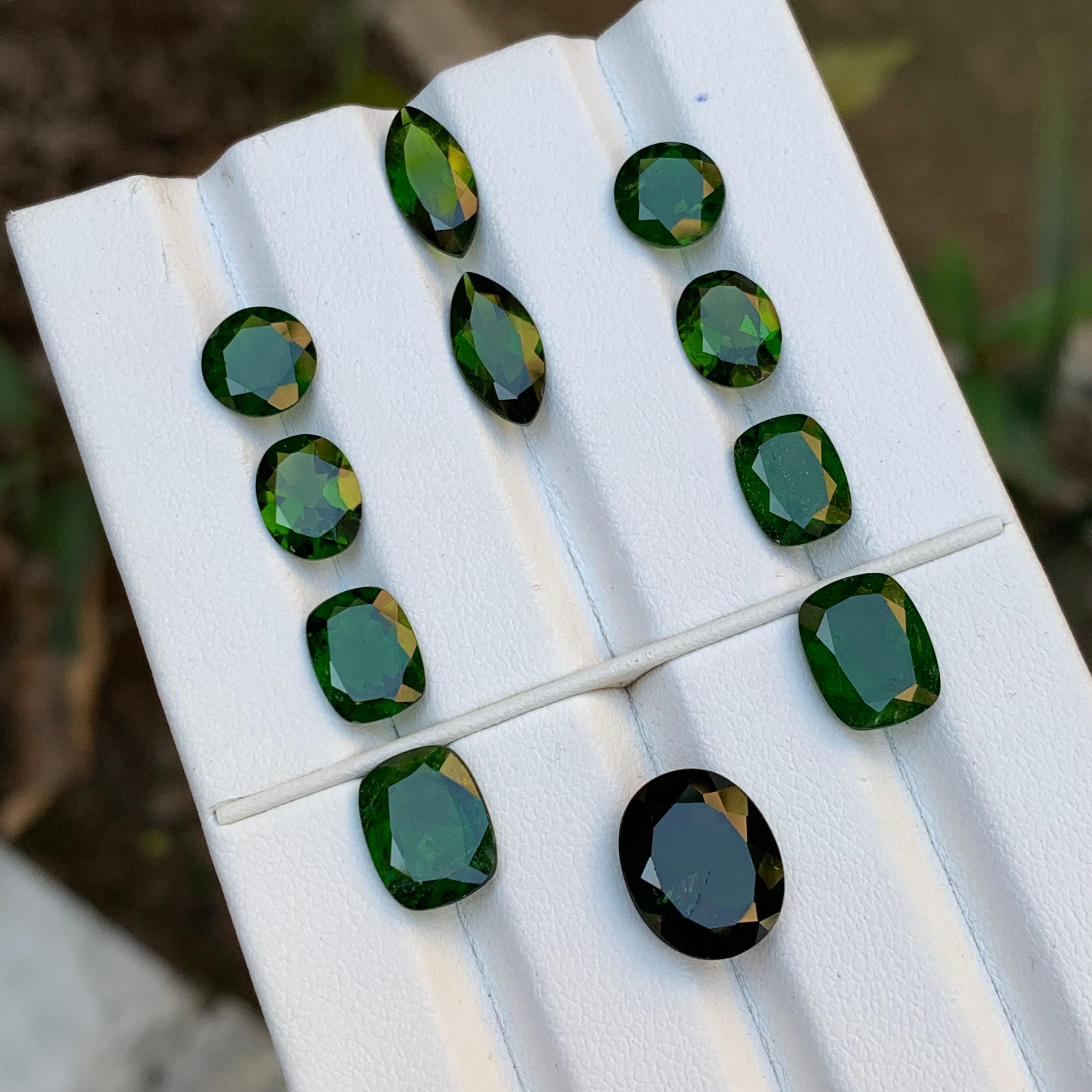 Deep Vivid Green Natural Diopside Garnet Loose Gemstones Pairs 25 Ct-Jewelry Set For Sale 7