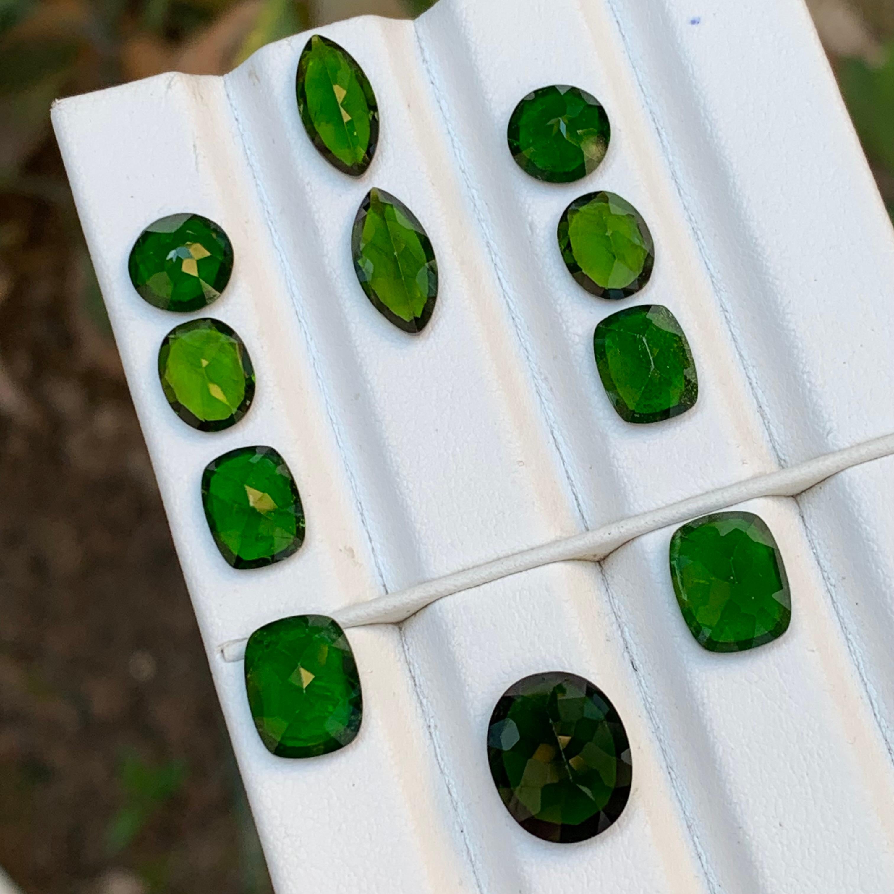 Women's or Men's Deep Vivid Green Natural Diopside Garnet Loose Gemstones Pairs 25 Ct-Jewelry Set For Sale