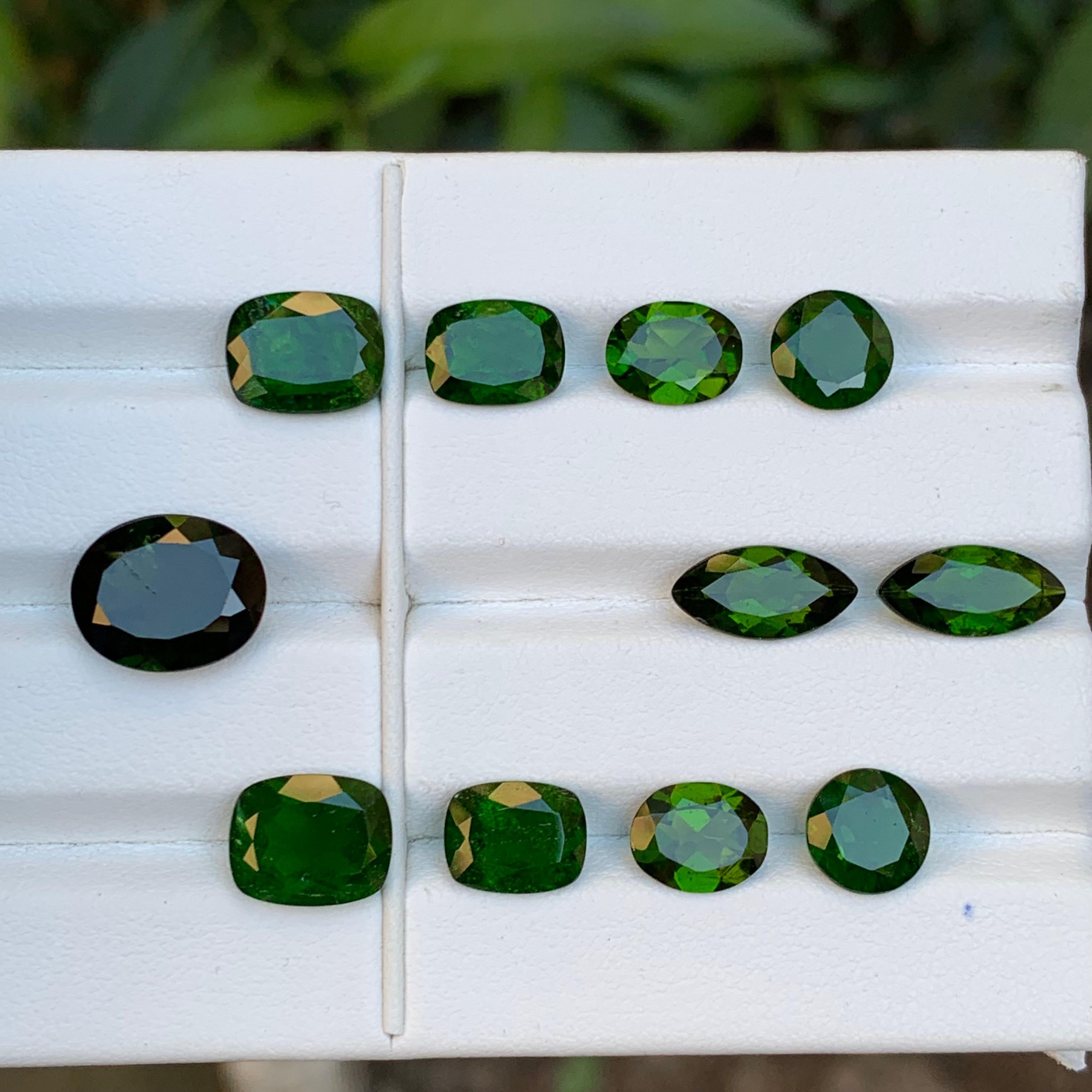 Deep Vivid Green Natural Diopside Garnet Loose Gemstones Pairs 25 Ct-Jewelry Set For Sale 2