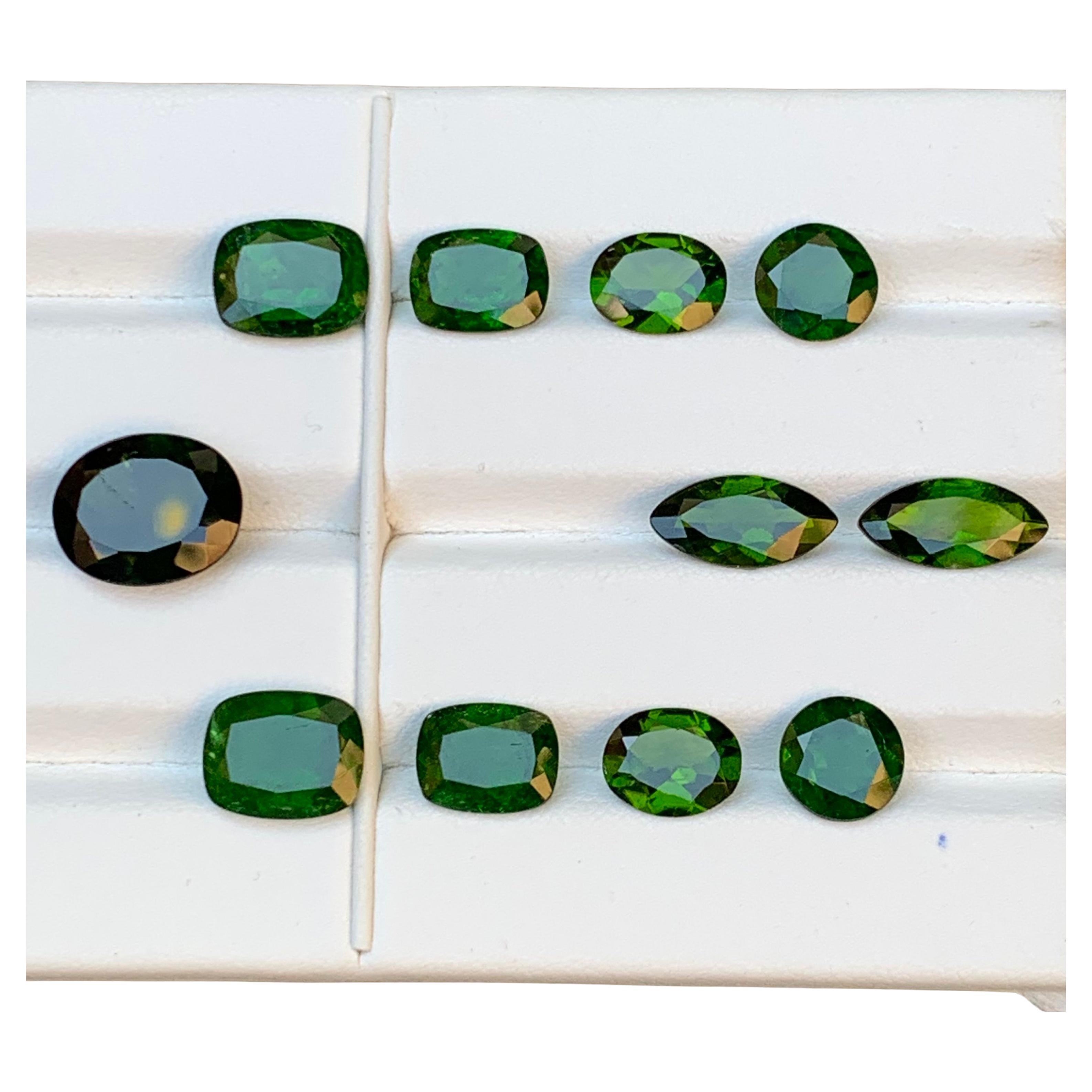 Deep Vivid Green Natural Diopside Garnet Loose Gemstones Pairs 25 Ct-Jewelry Set For Sale