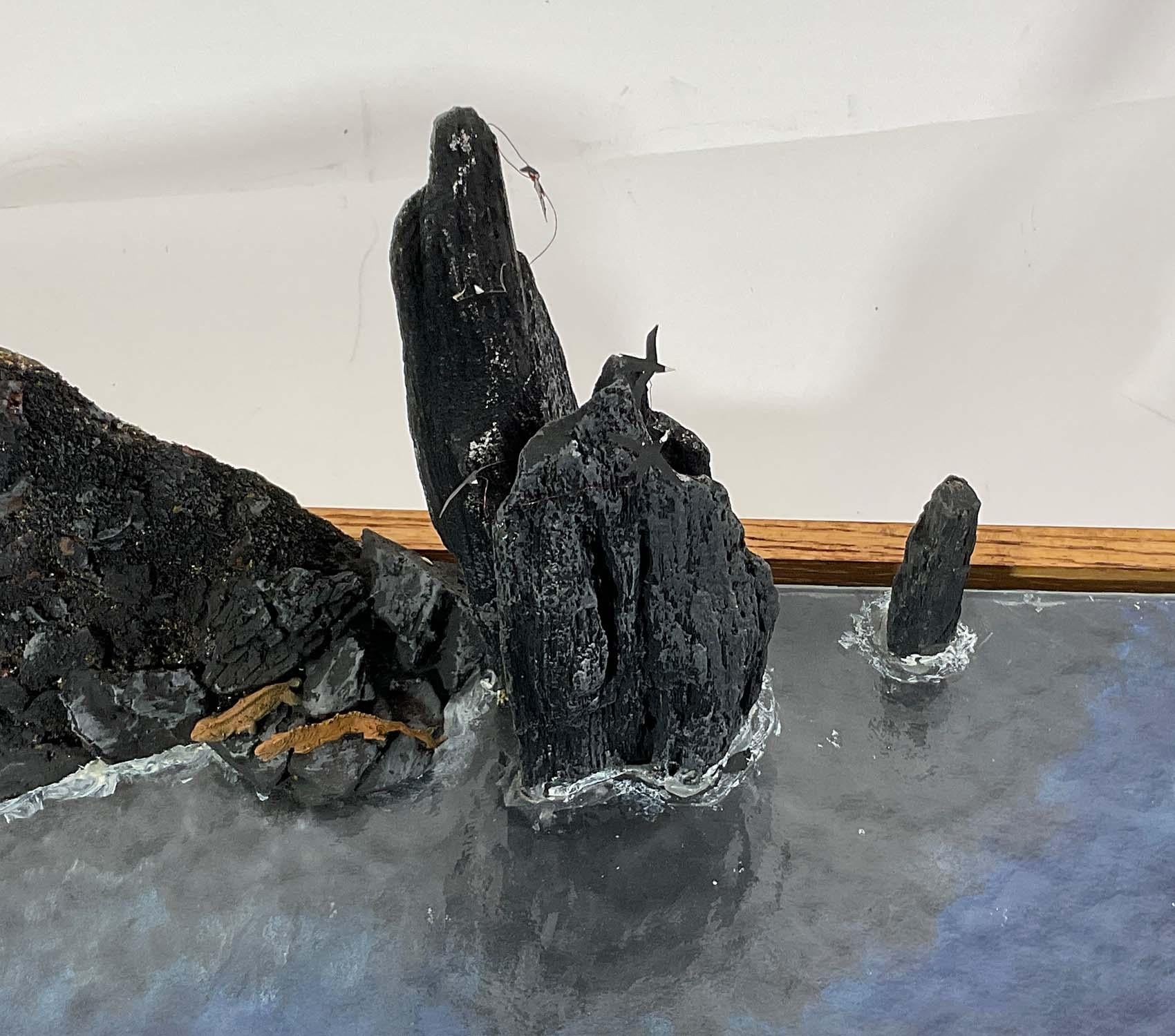 Diorama des eaux profondes de l'expédition des Galapagos en vente 7