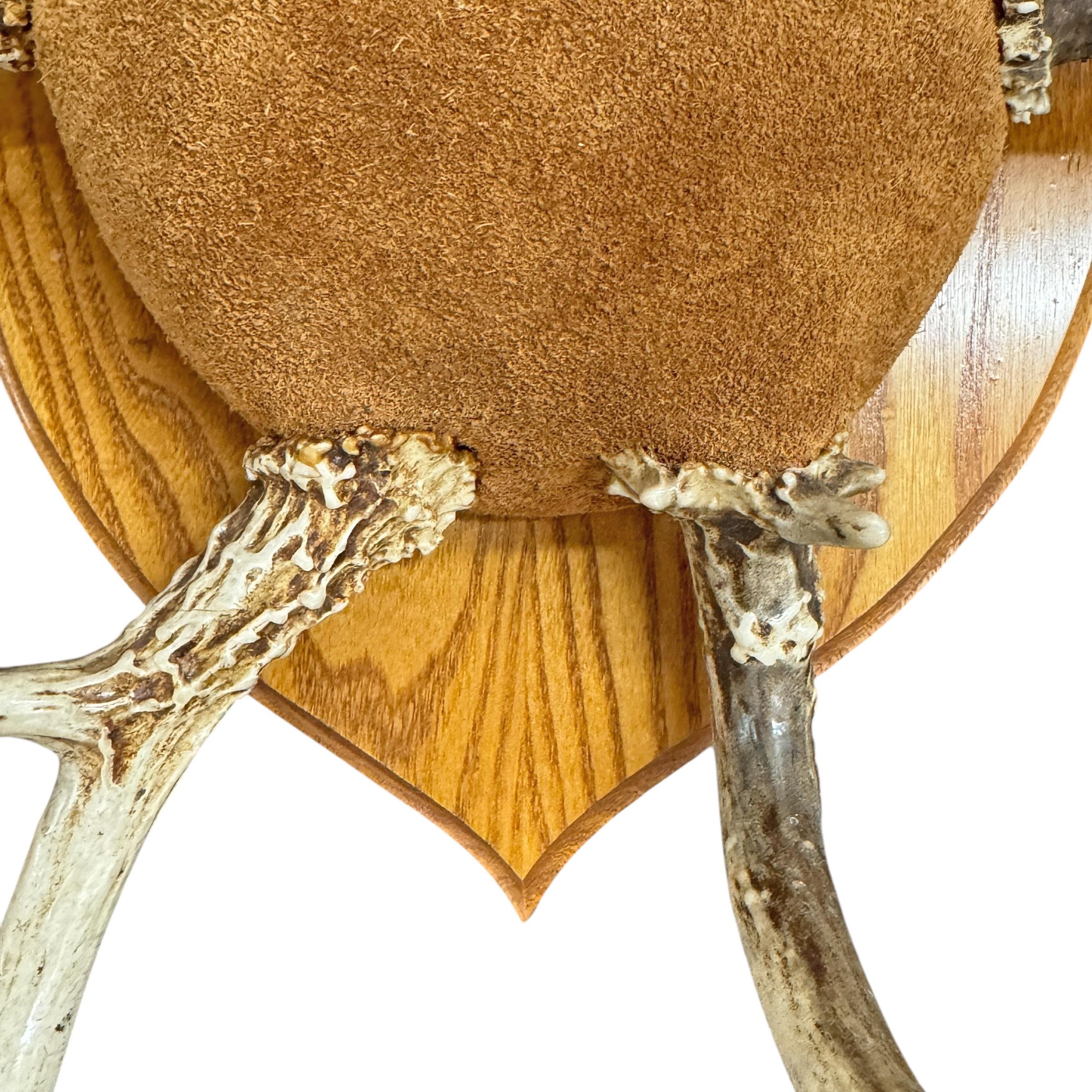 Deer Antler Hat and Coat Rack For Sale 4