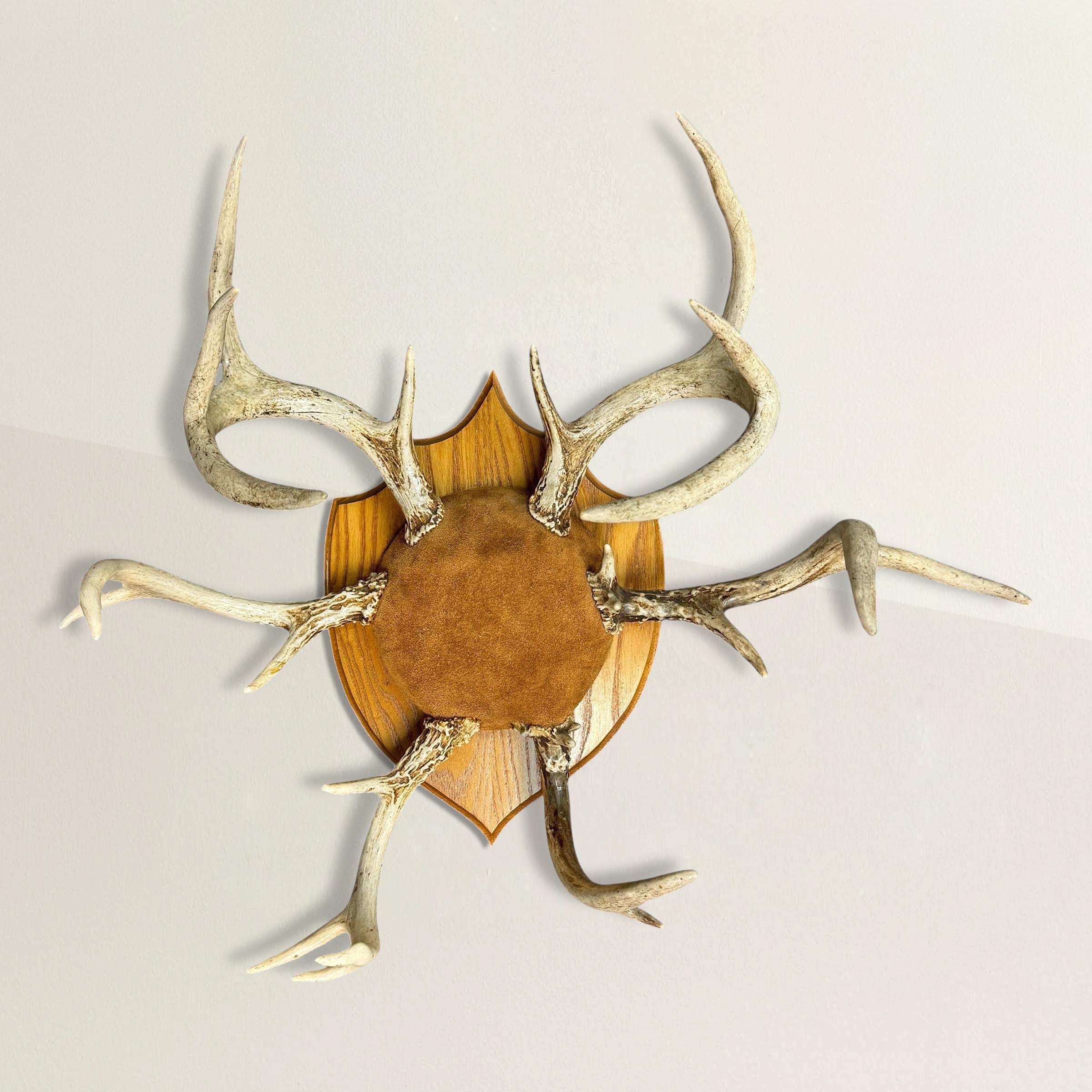 This extraordinary American hat and coat rack blends rugged charm with refined craftsmanship. Fashioned from six whitetail deer antlers arranged in a circle around a suede-covered dome, it transforms natural elements into functional art. Mounted to