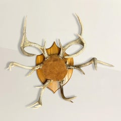 Deer Antler Hat and Coat Rack