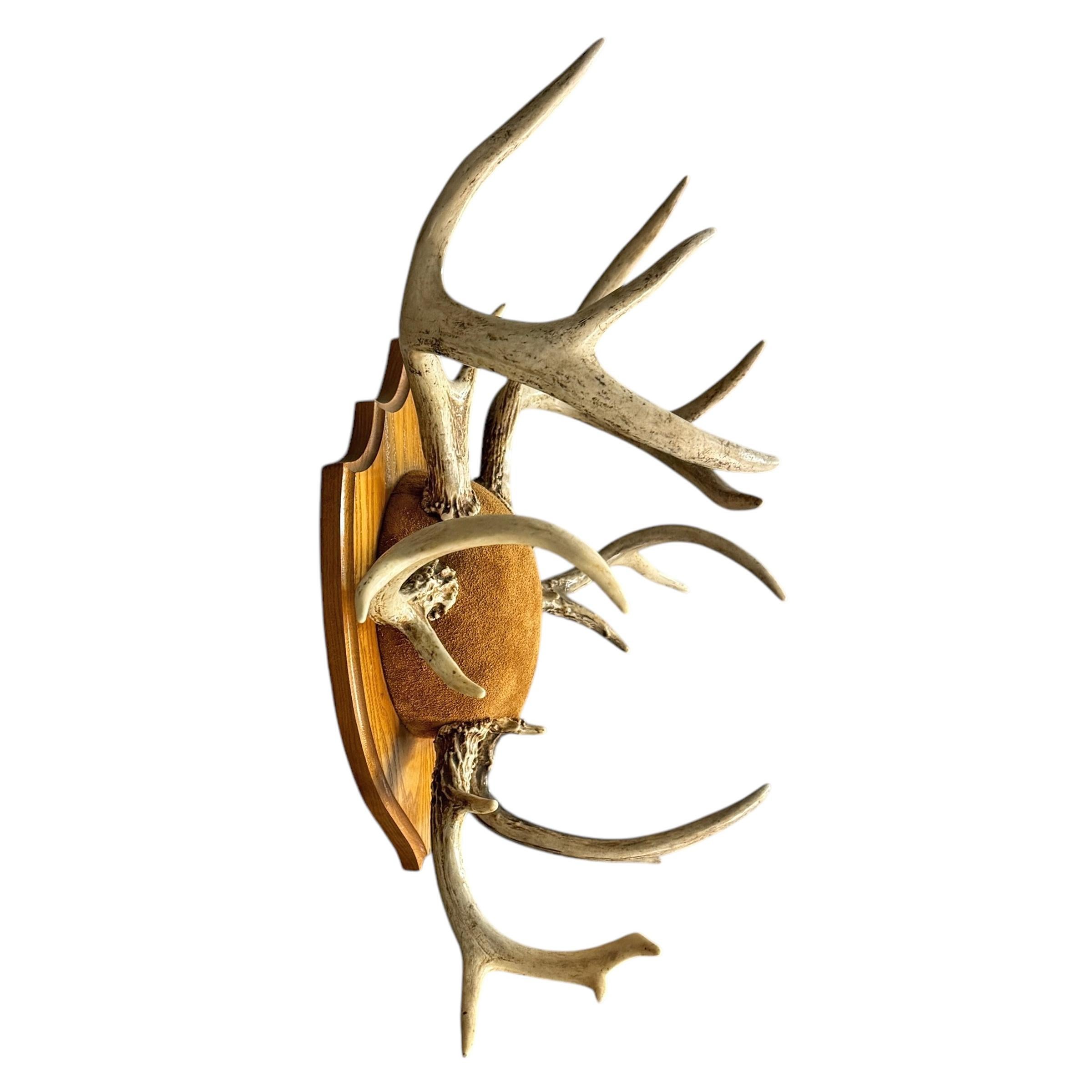 Deer Antler Hat and Coat Rack In Good Condition For Sale In Chicago, IL