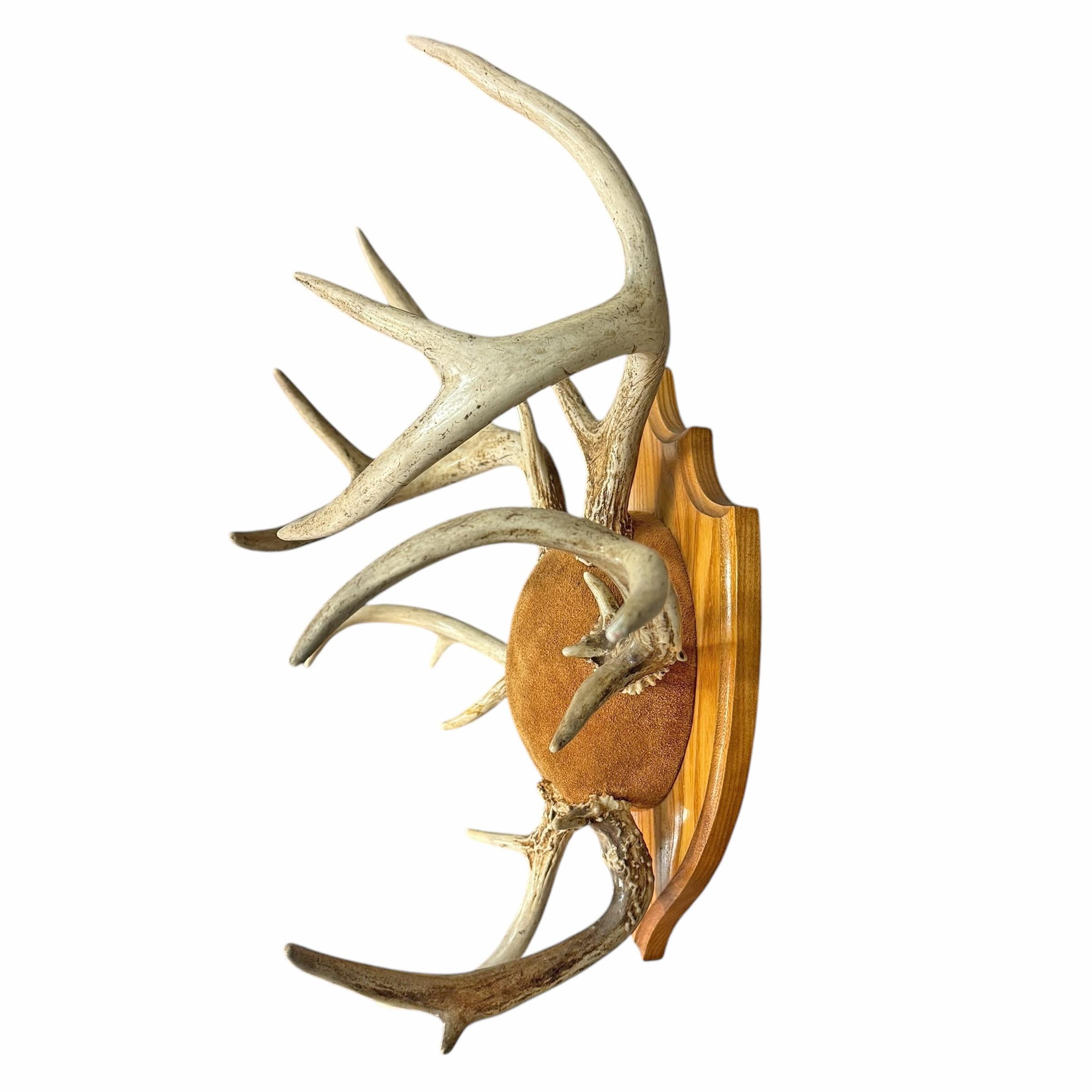 Contemporary Deer Antler Hat and Coat Rack For Sale