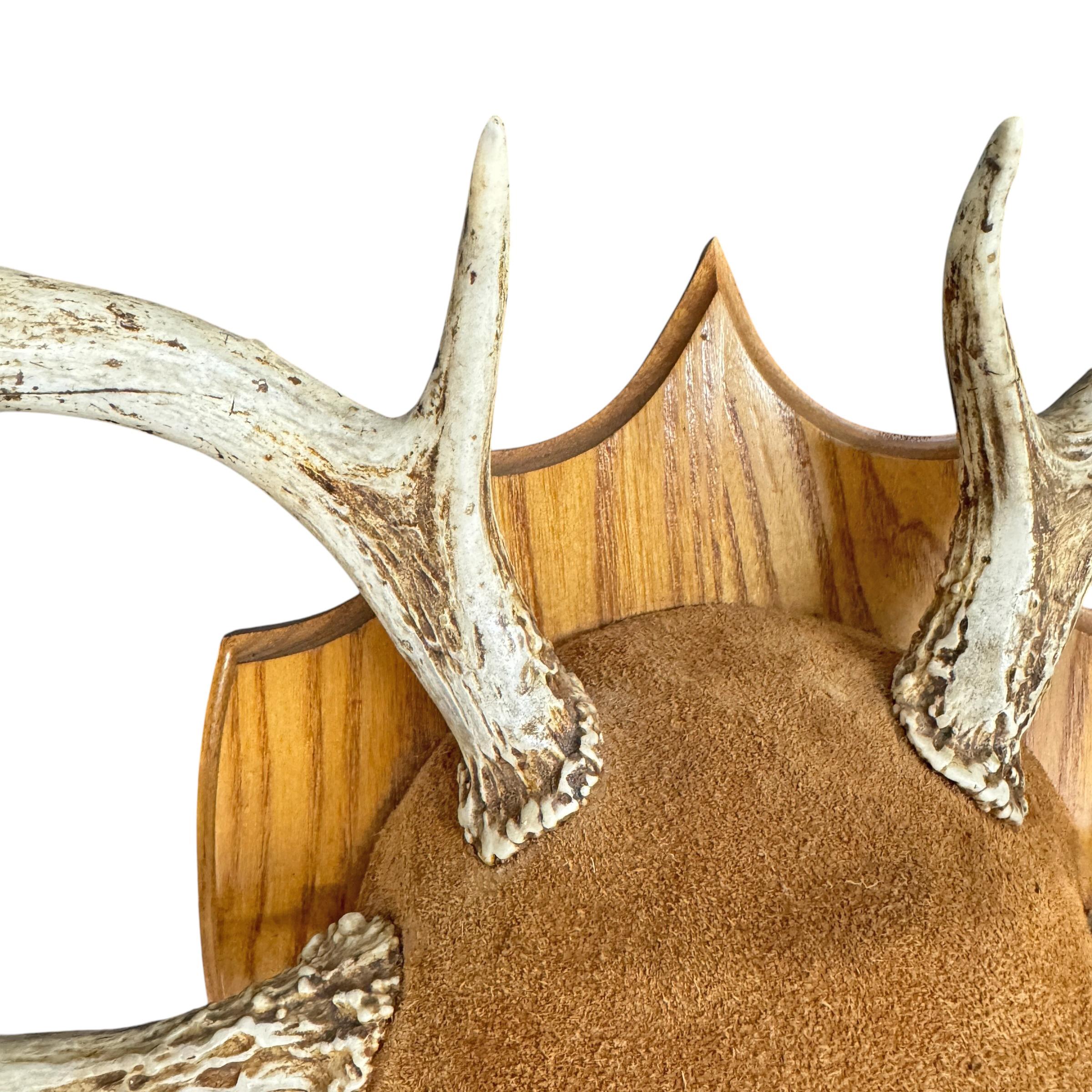 Oak Deer Antler Hat and Coat Rack For Sale