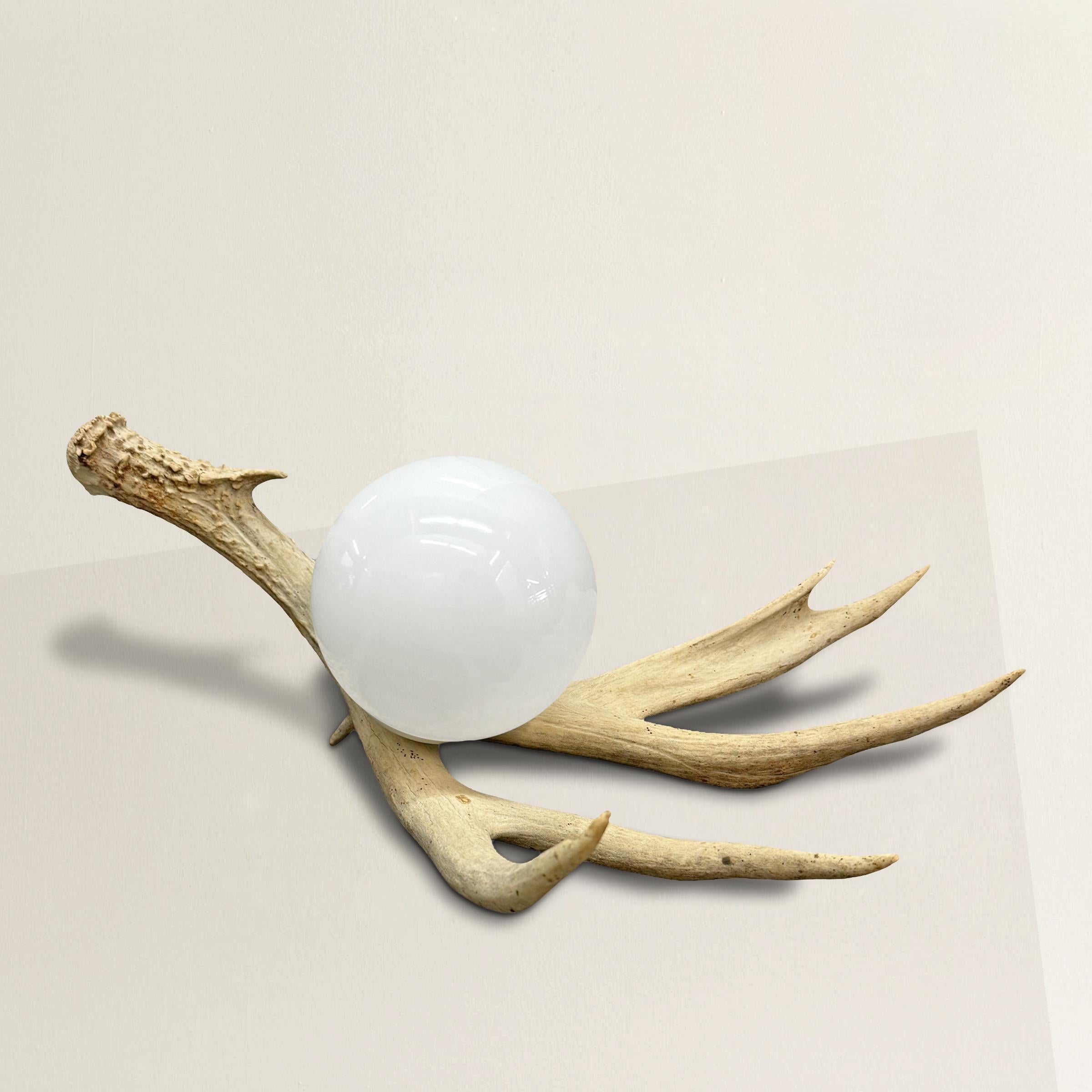 This contemporary light fixture combines the rustic beauty of nature with modern elegance. Crafted from a naturally shed deer antler, the piece boasts a unique story, showing the subtle marks of wildlife interaction—evidence of its time spent in the