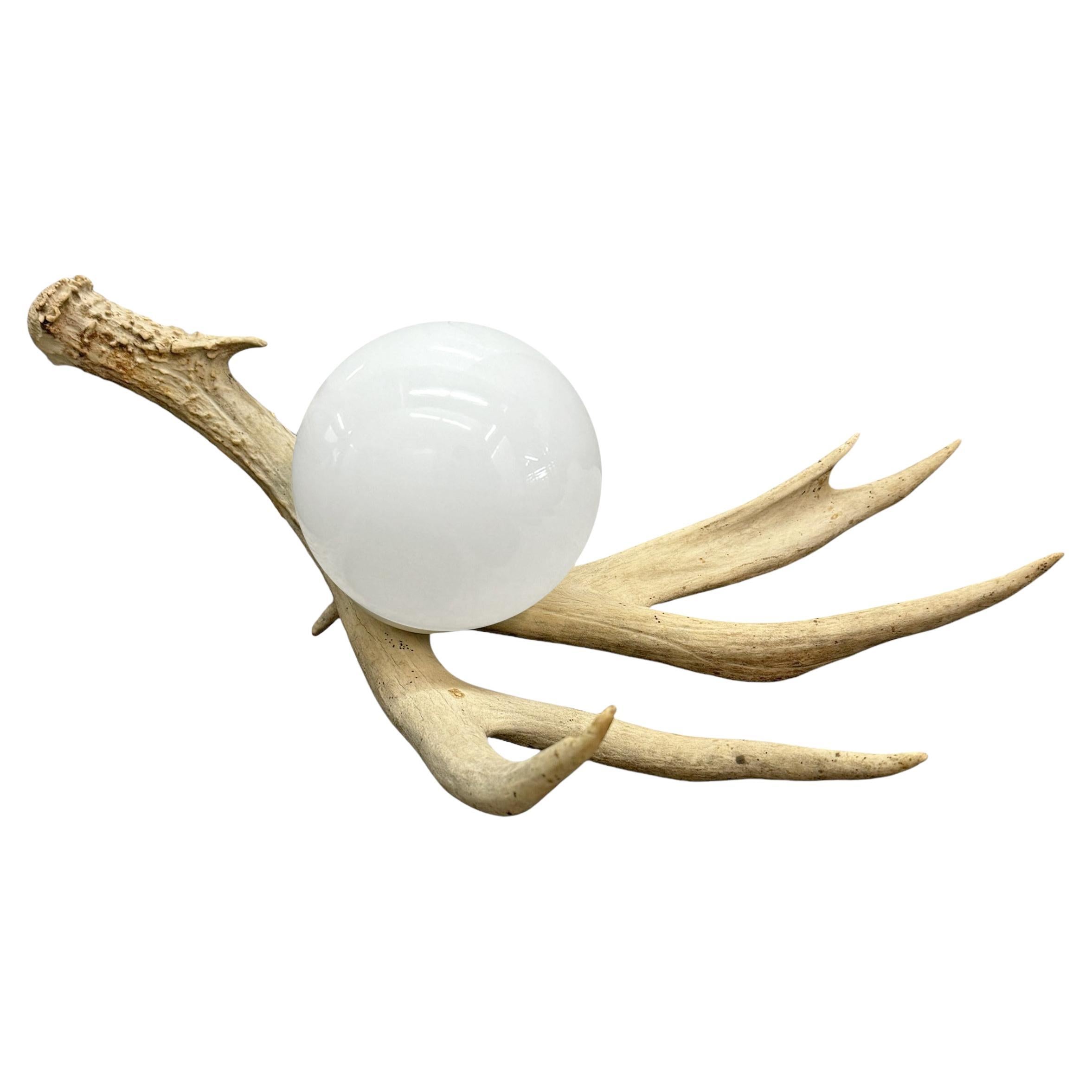 Deer Antler Lamp