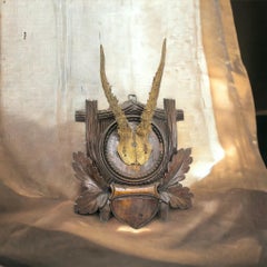 Deer Antler Mount Trophy Large Black Forest Carved Wood Plaque German Folk Art