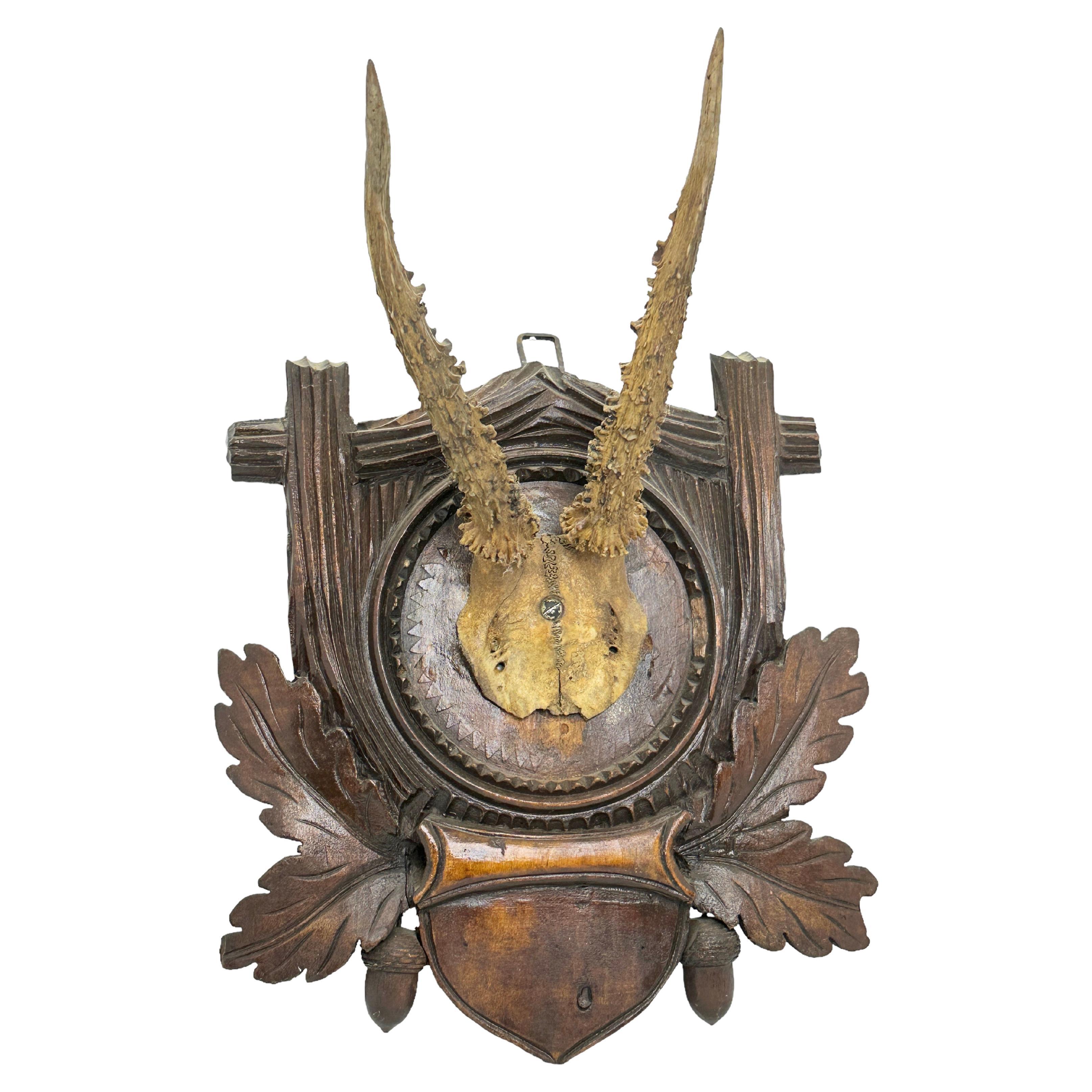 Deer Antler Mount Trophy on Black Forest Carved Wood Plaque Austria
