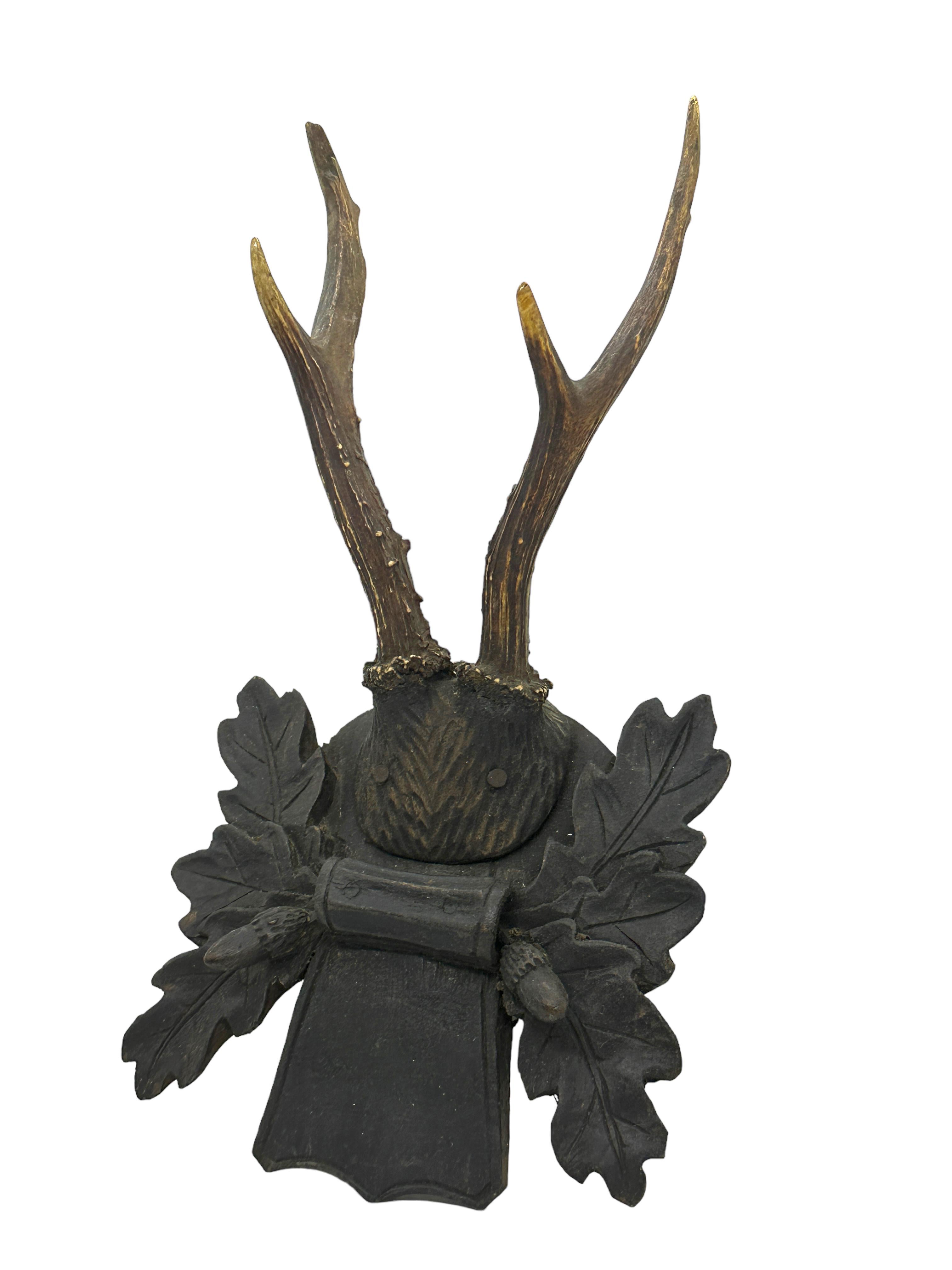 Eine antike Schwarzwälder Hirschgeweihtrophäe auf einer handgeschnitzten Schwarzwälder Holztafel. Wir glauben, dass es aus dem späten 19. Jahrhundert stammt. Eine schöne Ergänzung zu Ihrem Jäger Loge, Hütte, Mann Höhle oder einfach nur zu zeigen,