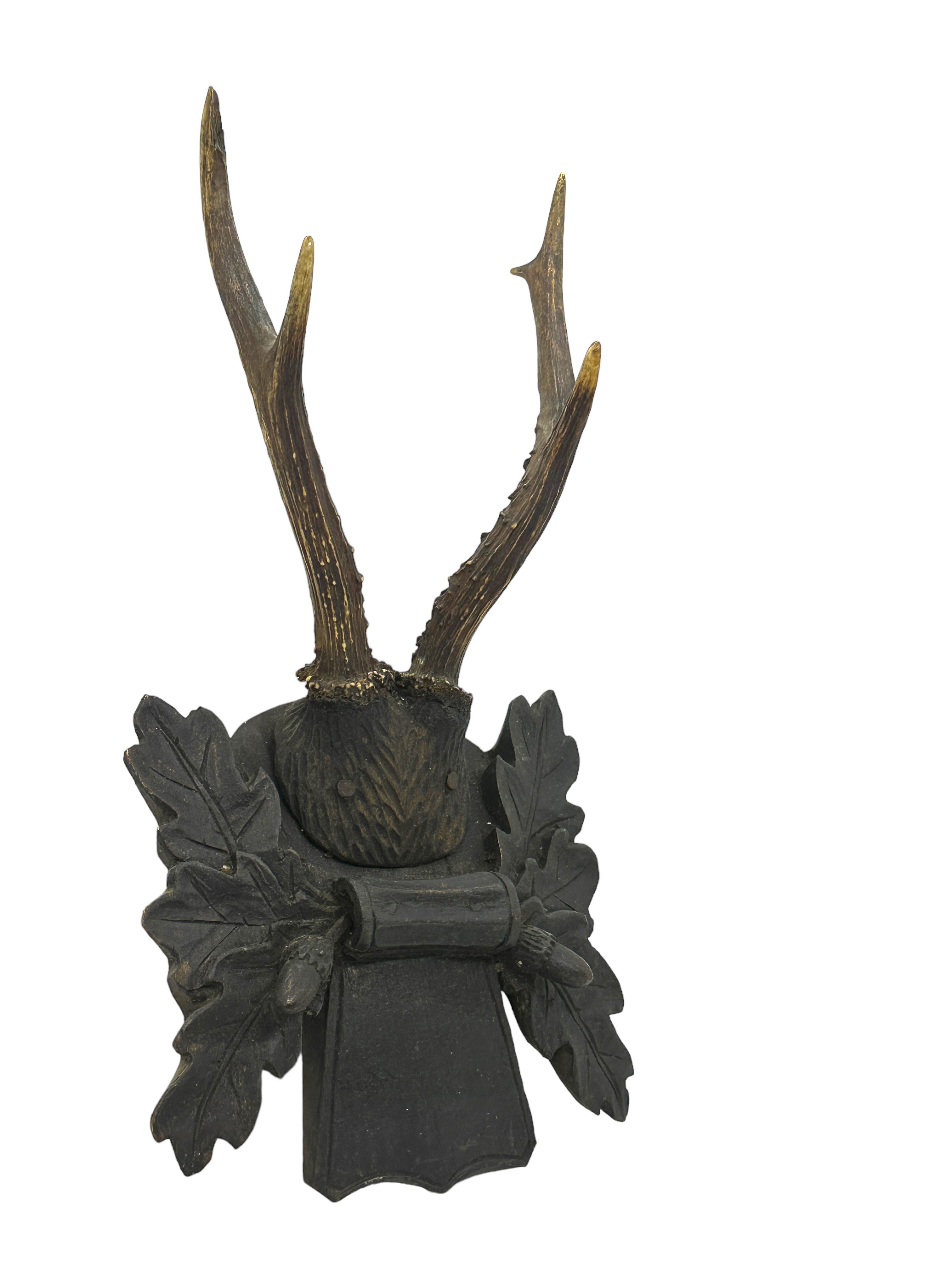 Austrian Deer Antler Mount Trophy on Black Forest Carved Wood Plaque Austria Folk Art  For Sale