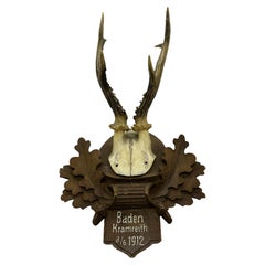 Deer Antler Mount Trophy on Black Forest Carved Wood Plaque Austria Folk Art 