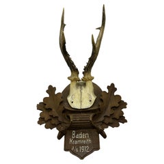 Monture de trophée en bois de cerf sur Black Forest Plaque en bois sculpté Autriche Folk Art 