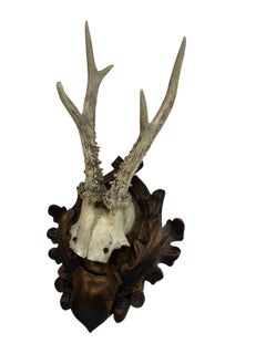 Deer Antler Mount Trophy on Black Forest Carved Wood Plaque Austrian Folk Art