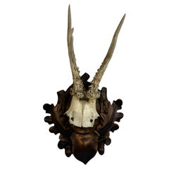 Deer Antler Mount Trophy on Black Forest Carved Wood Plaque Austrian Folk Art