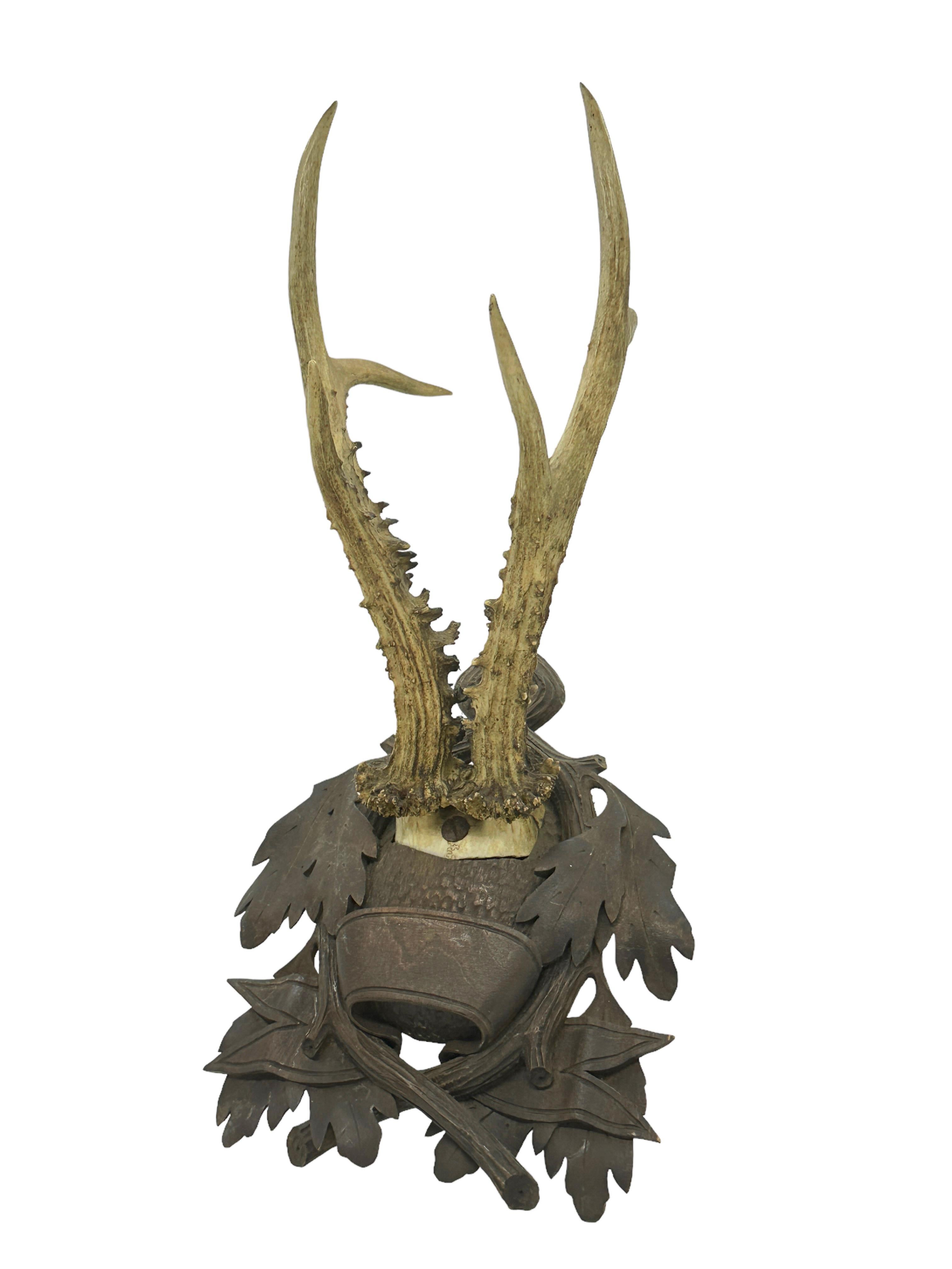 An antique Black Forest deer antler trophy on hand carved, Black Forest wooden plaque. We beliefe its from the Late 19th Century. A nice addition to your hunters loge, cabin, man cave or just to display them in your house. Found at an Estate Sale in