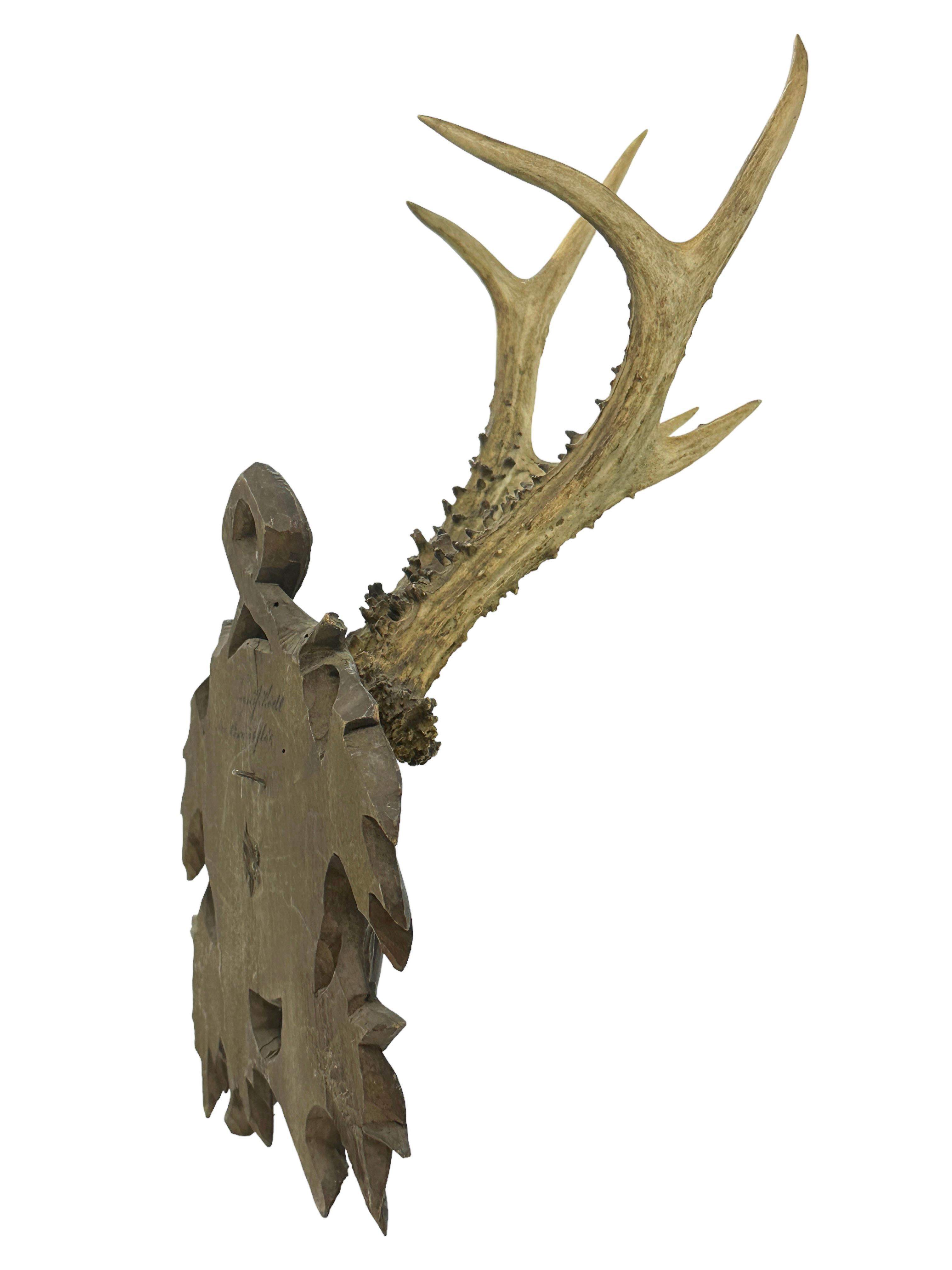 19th Century Deer Antler Mount Trophy on Black Forest Carved Wood Plaque German Folk Art  For Sale