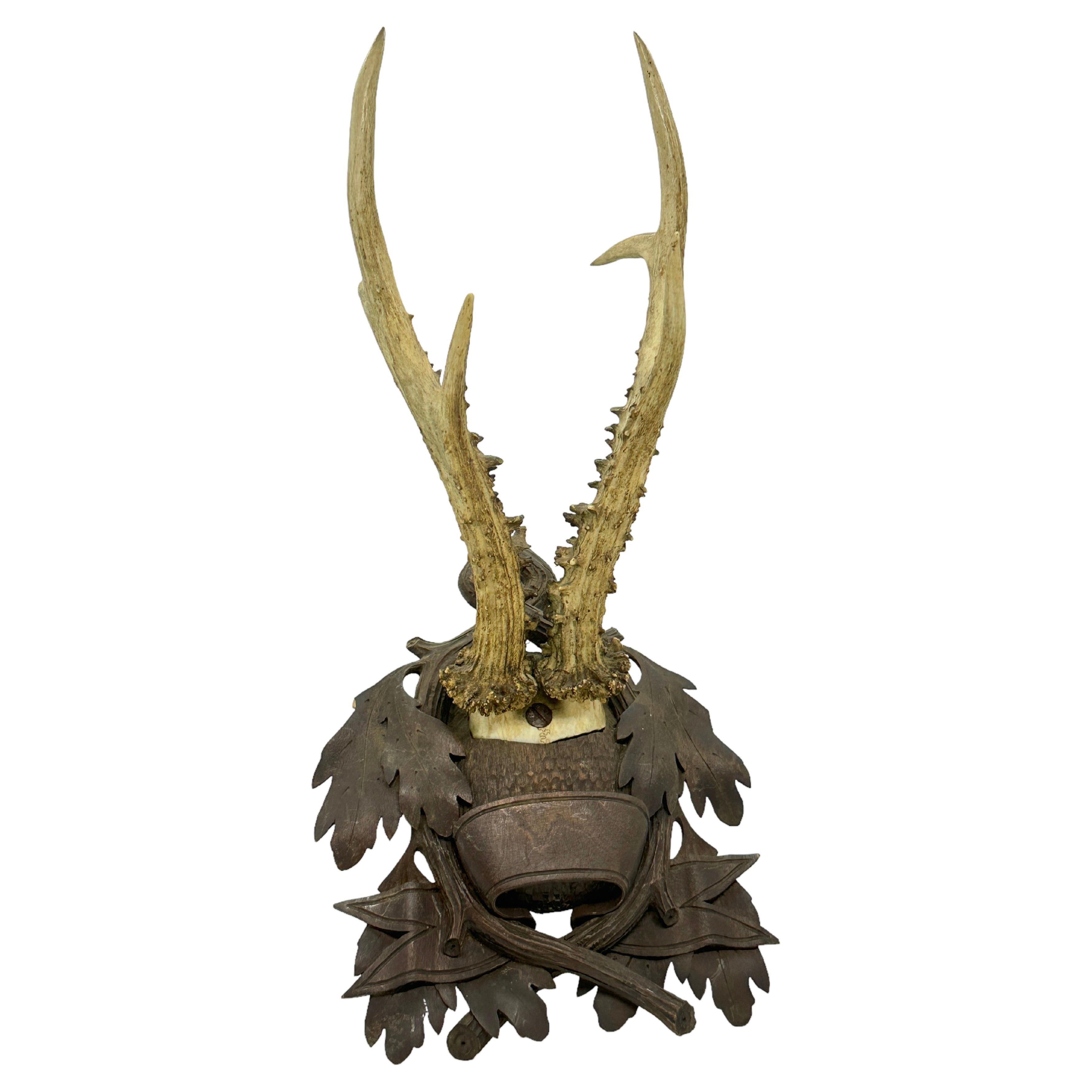 Deer Antler Mount Trophy on Black Forest Carved Wood Plaque German Folk Art  For Sale