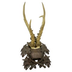 Deer Antler Mount Trophy on Black Forest Carved Wood Plaque German Folk Art 