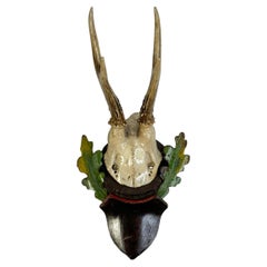 Antique Deer Antler Mount Trophy on Black Forest Carved Wood Plaque German Folk Art 