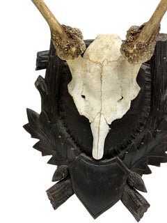 Deer Antler Trophy on Large Black Forest Wood Carved Plaque, 1910s