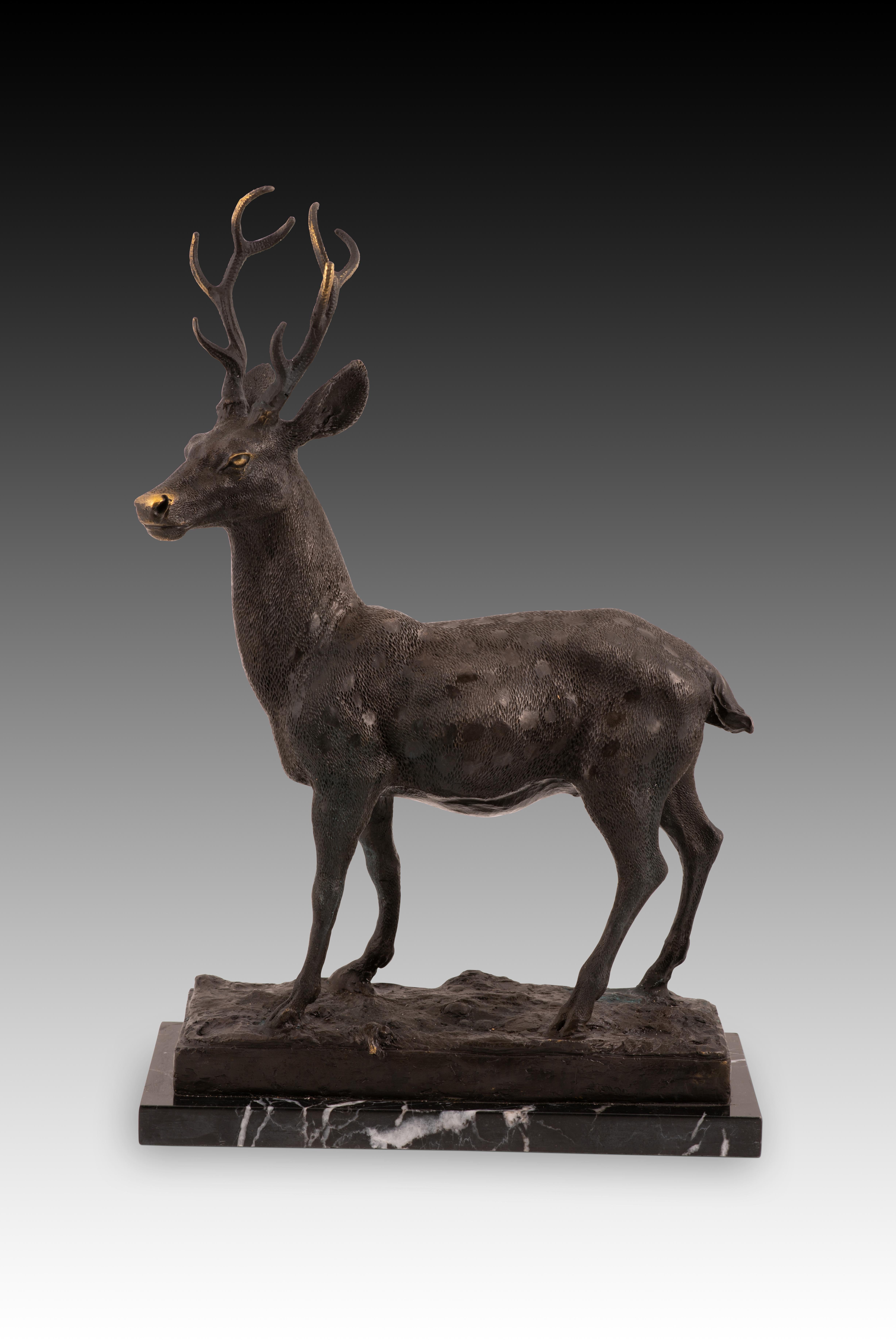 Chevreuil. Bronze, marbre. Suivant les modèles du 19ème siècle. 
Figure en bronze sur un socle en marbre sculpté représentant un cerf regardant vers l'avant, avec un traitement de l'anatomie, de la posture et du pelage à l'intention naturaliste