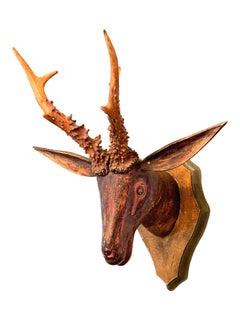 Deer Head primitive Black Forest Hand Carved Folk Art Wooden Trophy 19th Century