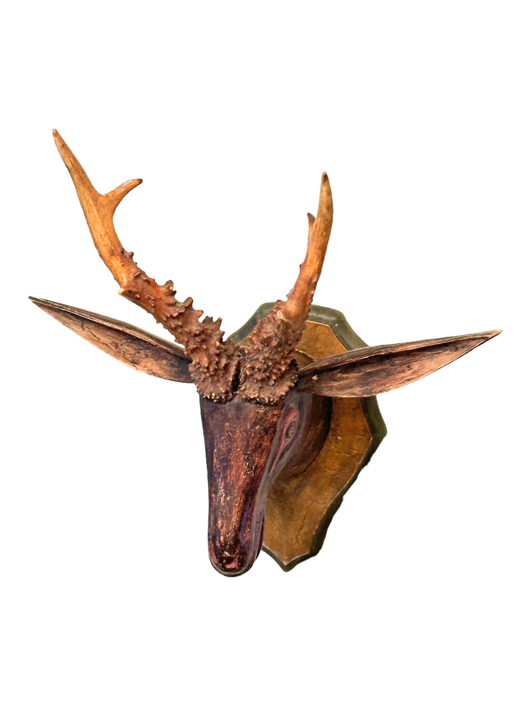 Cabeza de ciervo primitivo Black Forest Trofeo de madera de arte popular tallado a mano Siglo XIX Mediados del siglo XIX en venta