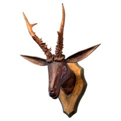 Deer Head primitive Black Forest Hand Carved Folk Art Wooden Trophy 19th Century