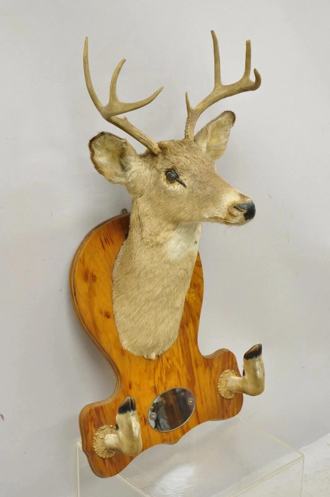 Deer Head Taxidermy Mount 8 Point Pine Board with Gun Rack and Hall Mirror en vente 5