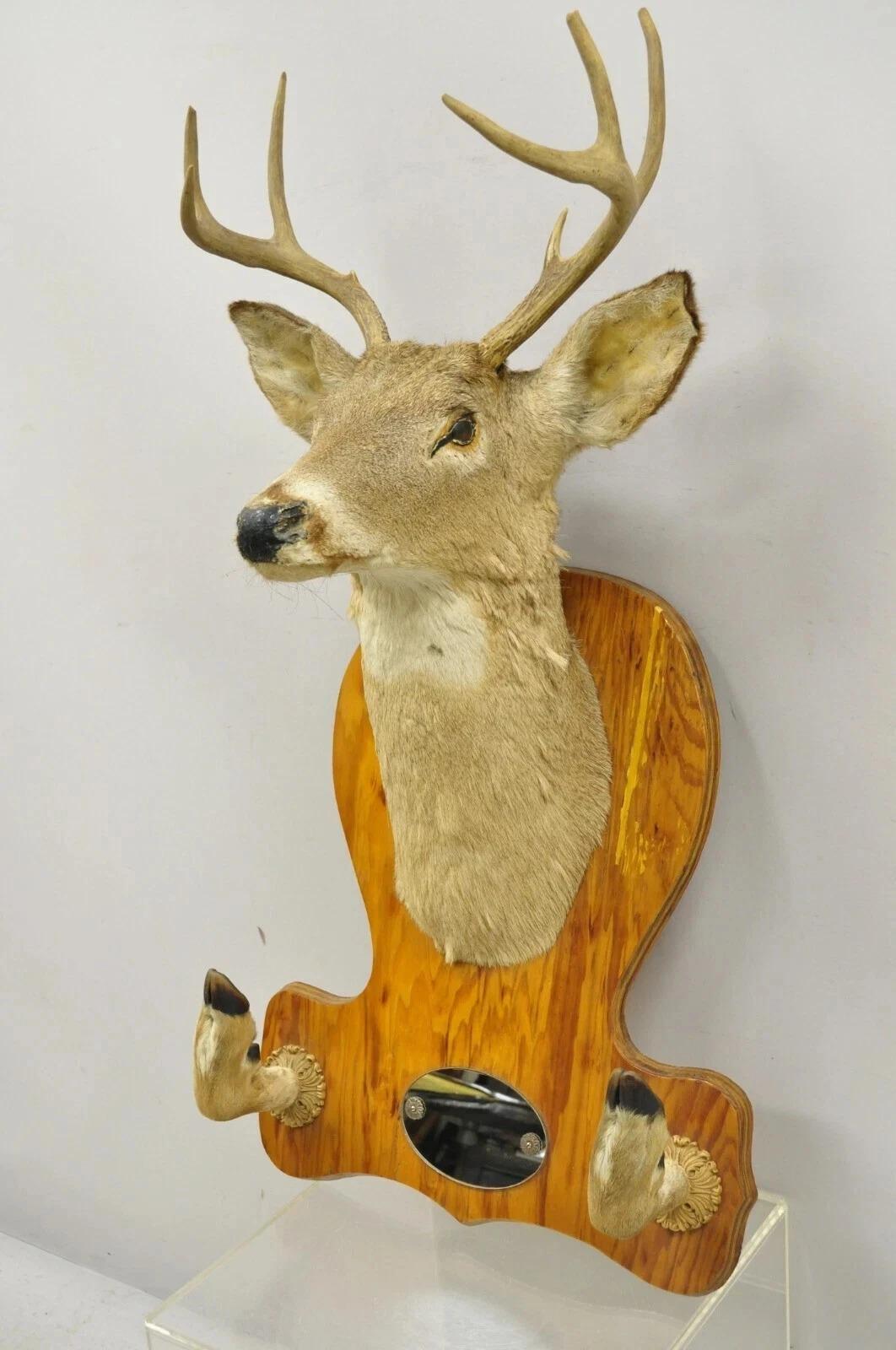 Vintage Deer Head Taxidermy Mount 8 Point Pine Board with Gun Rack and Hall Mirror. Circa Mid 20th Century. Measurements: Overall: 38