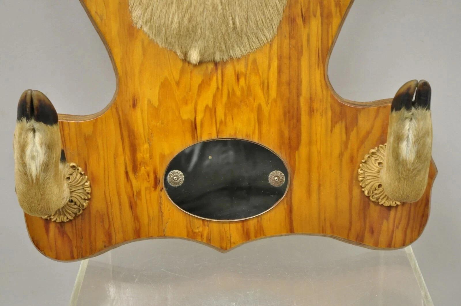 Inconnu Deer Head Taxidermy Mount 8 Point Pine Board with Gun Rack and Hall Mirror en vente