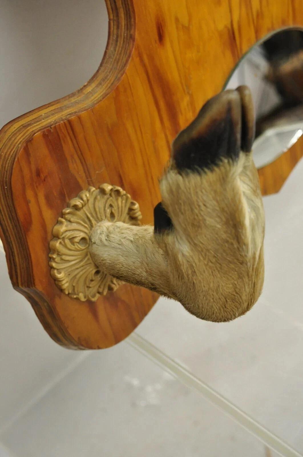 Deer Head Taxidermy Mount 8 Point Pine Board with Gun Rack and Hall Mirror en vente 1