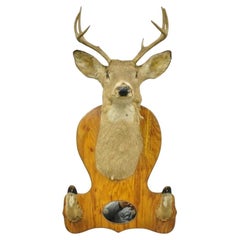 Deer Head Taxidermy Mount 8 Point Pine Board with Gun Rack and Hall Mirror
