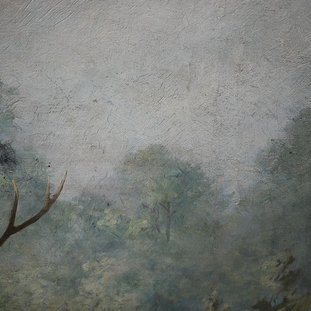Deer in the Woods Painting, Paul Rippert, 1891 1