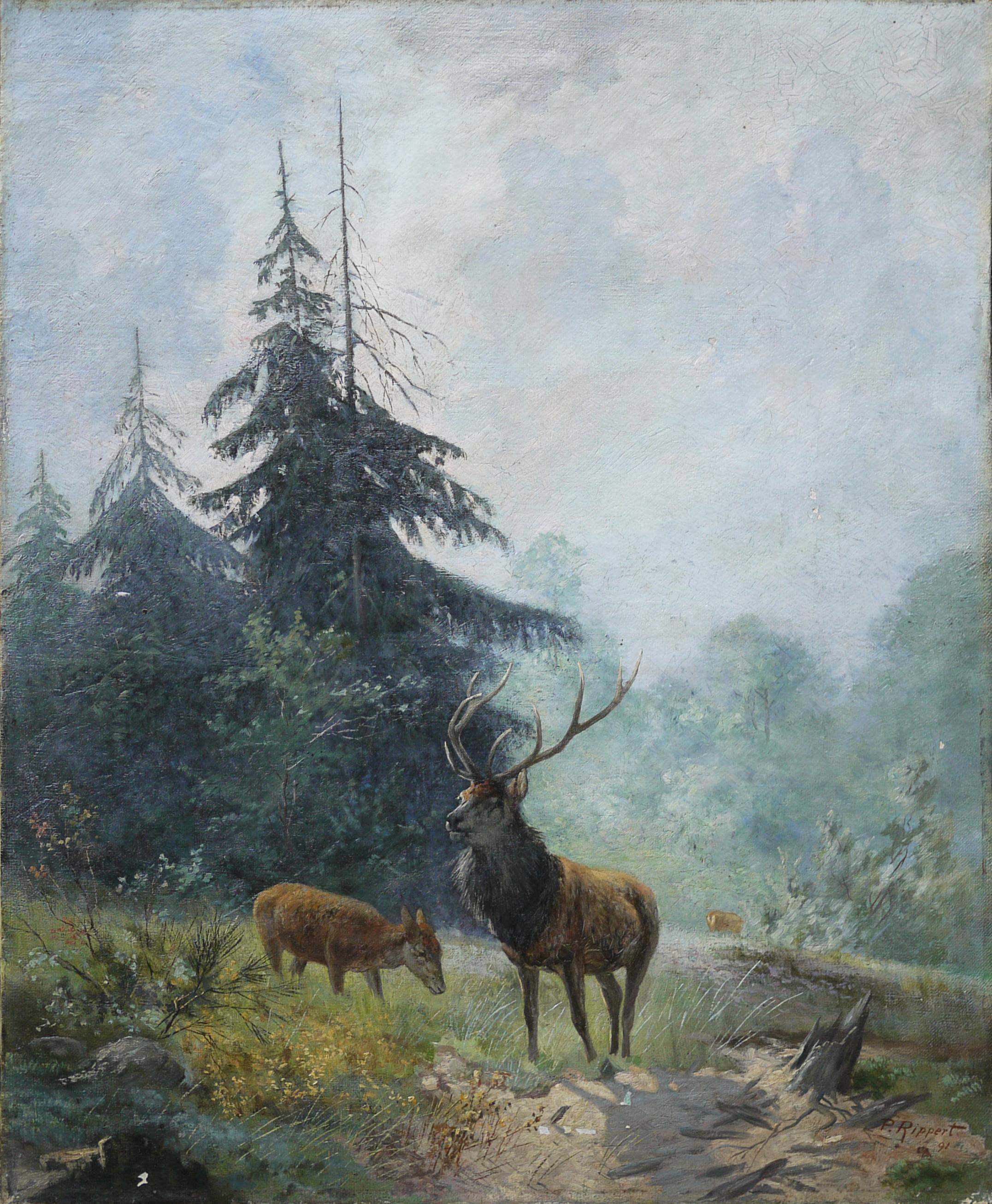 Deer in the Woods Painting, Paul Rippert, 1891 5