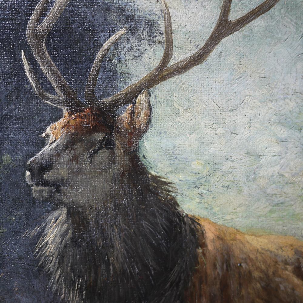 Deer in the Woods - Paul Rippert - 1891

60 cm x 50 cm (dimensions referring to the canvas only) - oil on canvas

A majestic deer and some females graze the grass in a forest clearing; the pale blue sky fragmented by the white of the clouds, and
