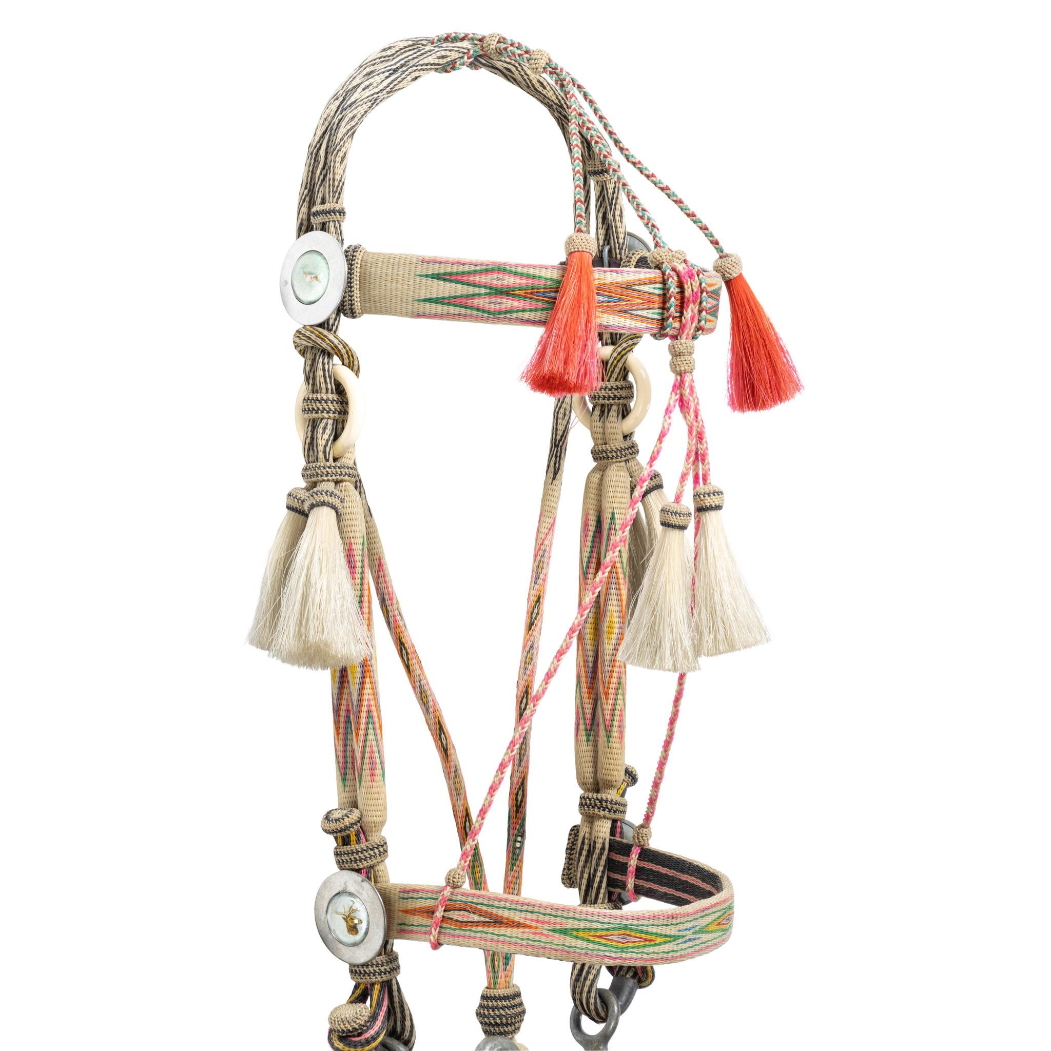 20ième siècle Deer Lodge Prison Horsehair Bridle en vente