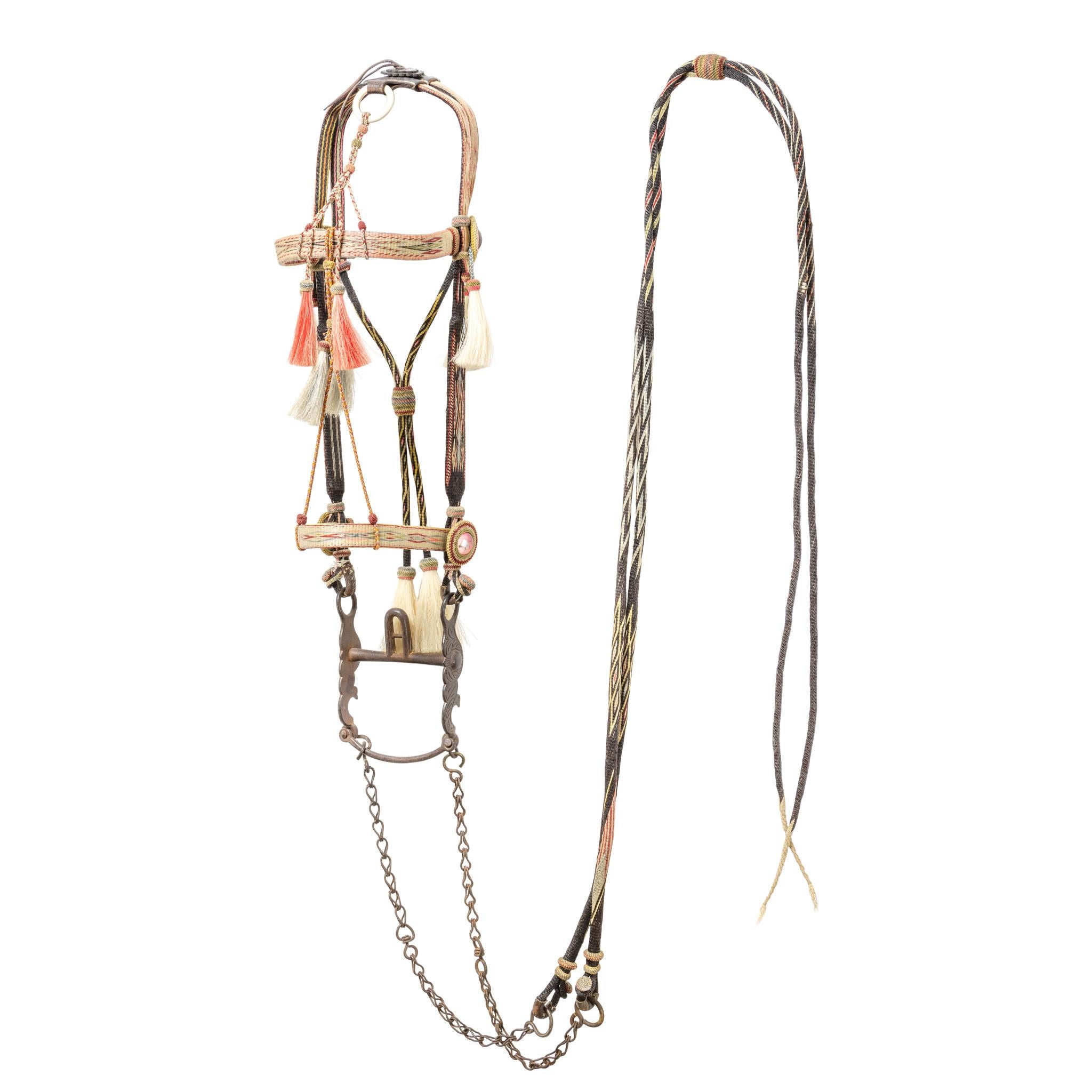 20ième siècle Deer Lodge Prison Horsehair Bridle en vente