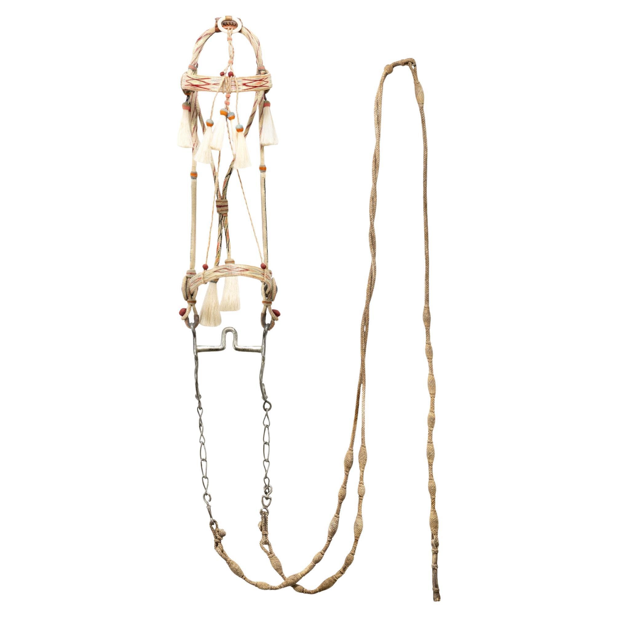 Deer Lodge Prison Horsehair Bridle