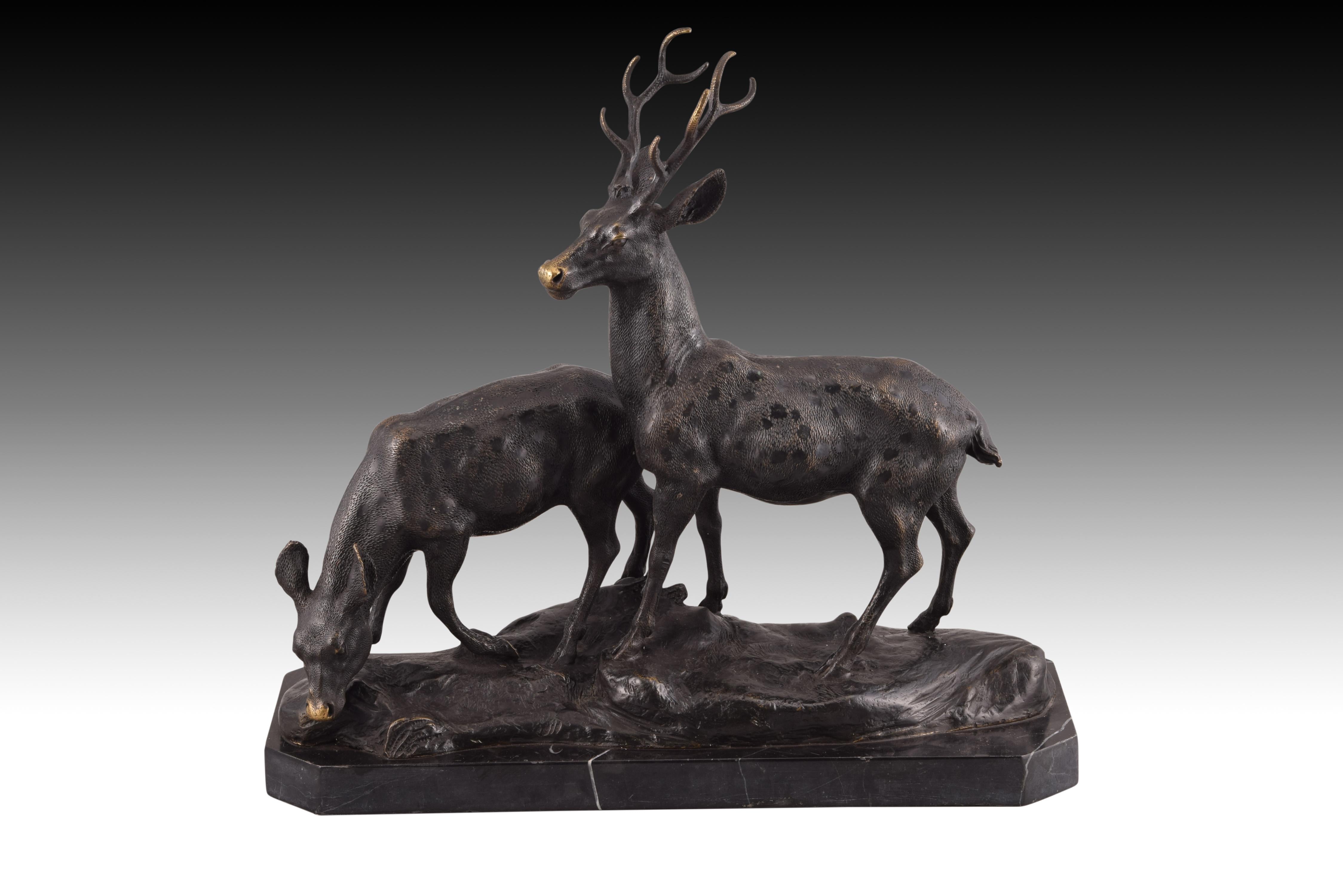 On the base of veined marble is a rock formation, already in bronze, to set the figures. The male deer appears standing, attentive, with his head held high, the female lowers her head as if to drink. The detail, the theme, the composition, etc. they