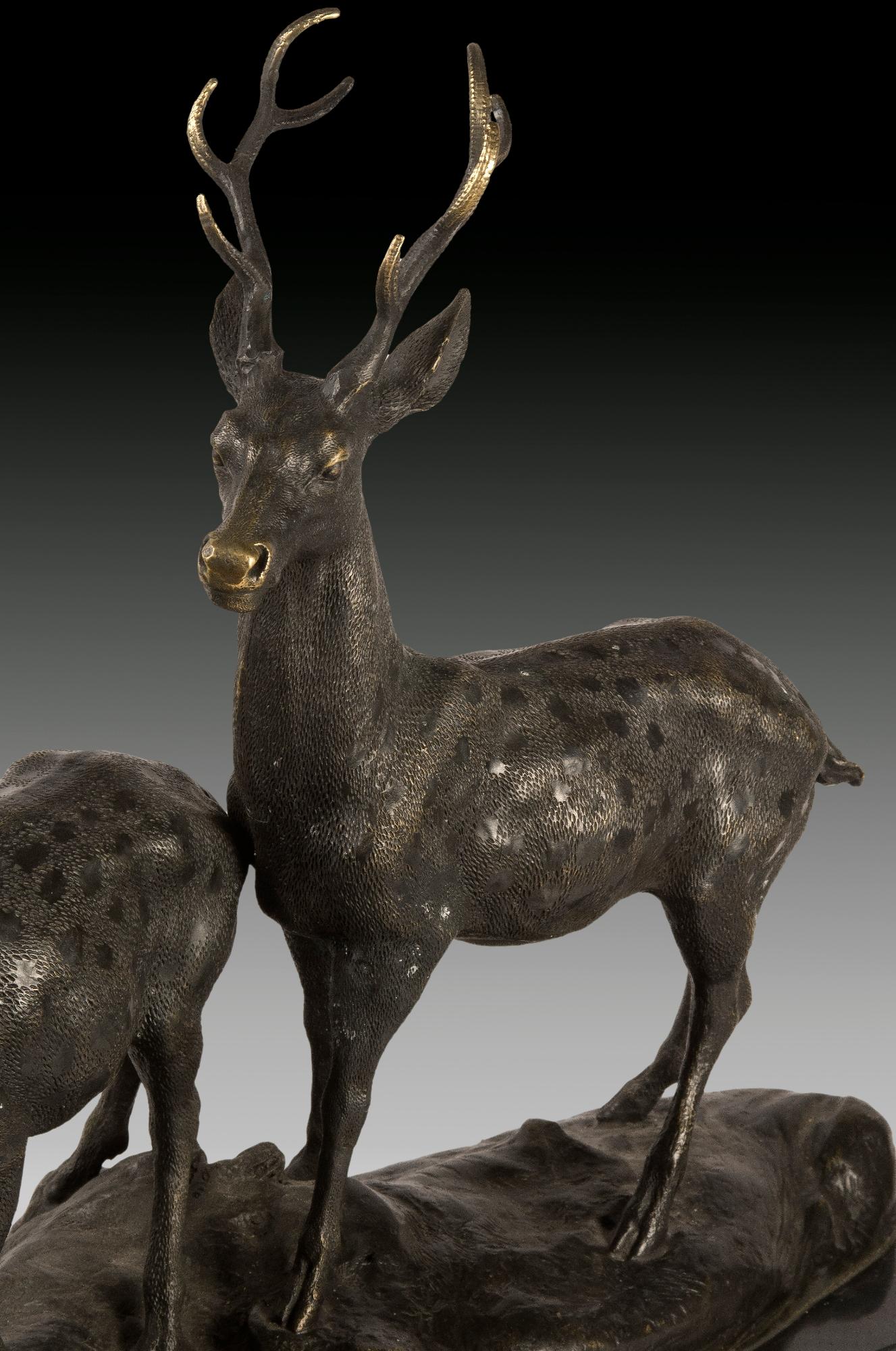 European Deers 'Stag and Hind' Bronze, Marble, 20th Century